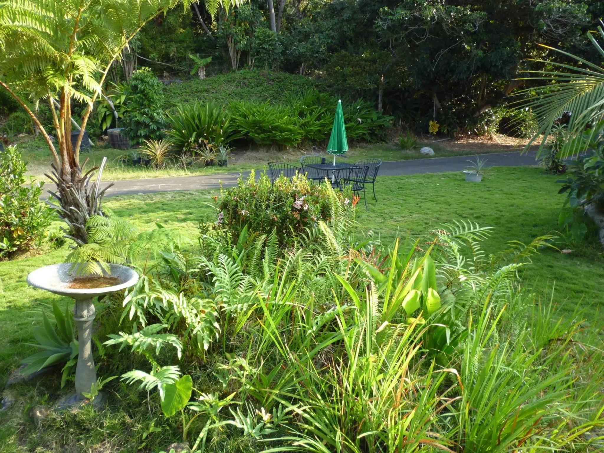 Garden in A Beautiful Edge of the World Bed & Breakfast