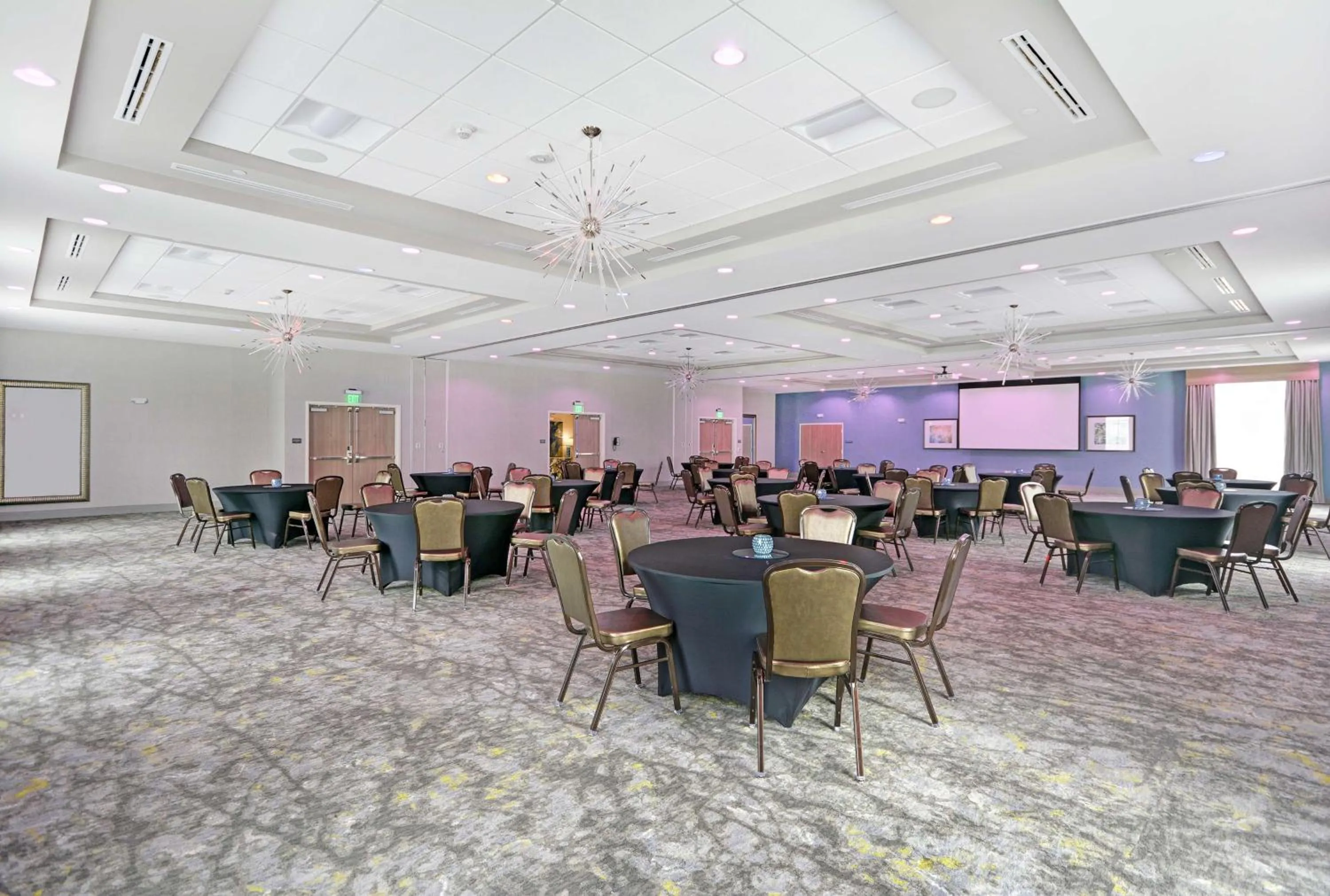 Meeting/conference room in Hilton Garden Inn Houston Hobby Airport