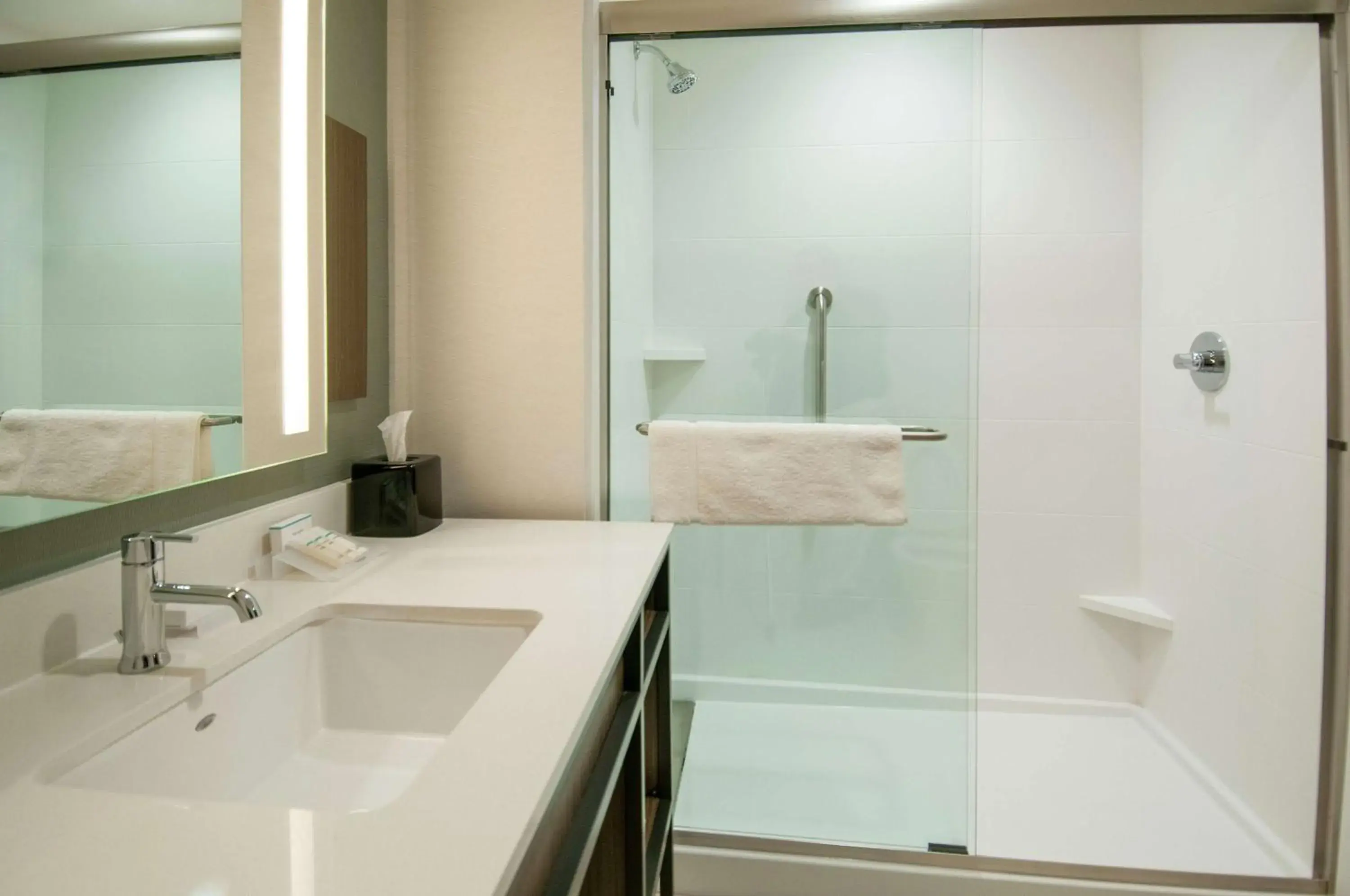 Bathroom in Hilton Garden Inn Jackson/Clinton Bathroom in Hilton Garden Inn Jackson/Clinton