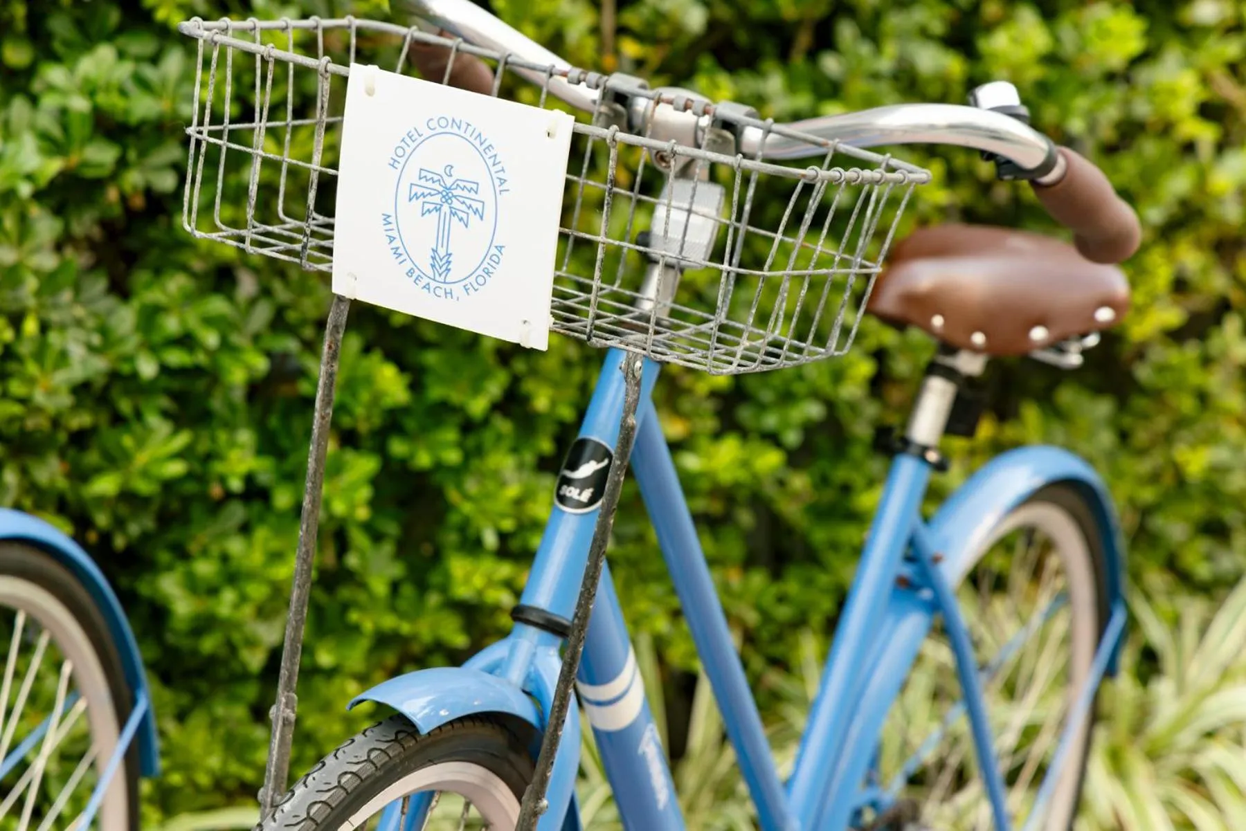 Cycling in Hotel Continental Miami Beach, Tapestry Collection by Hilton