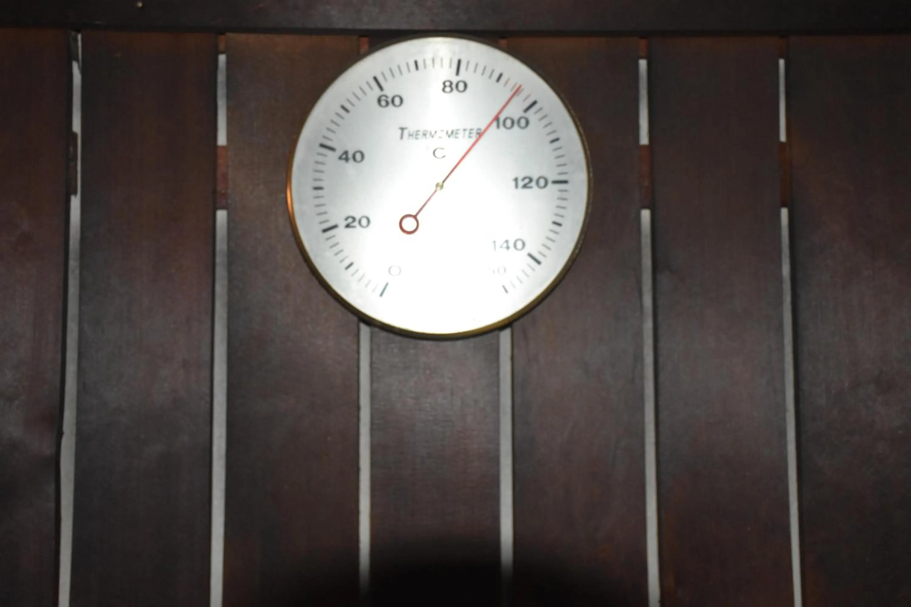 Sauna in Hotel Mikado