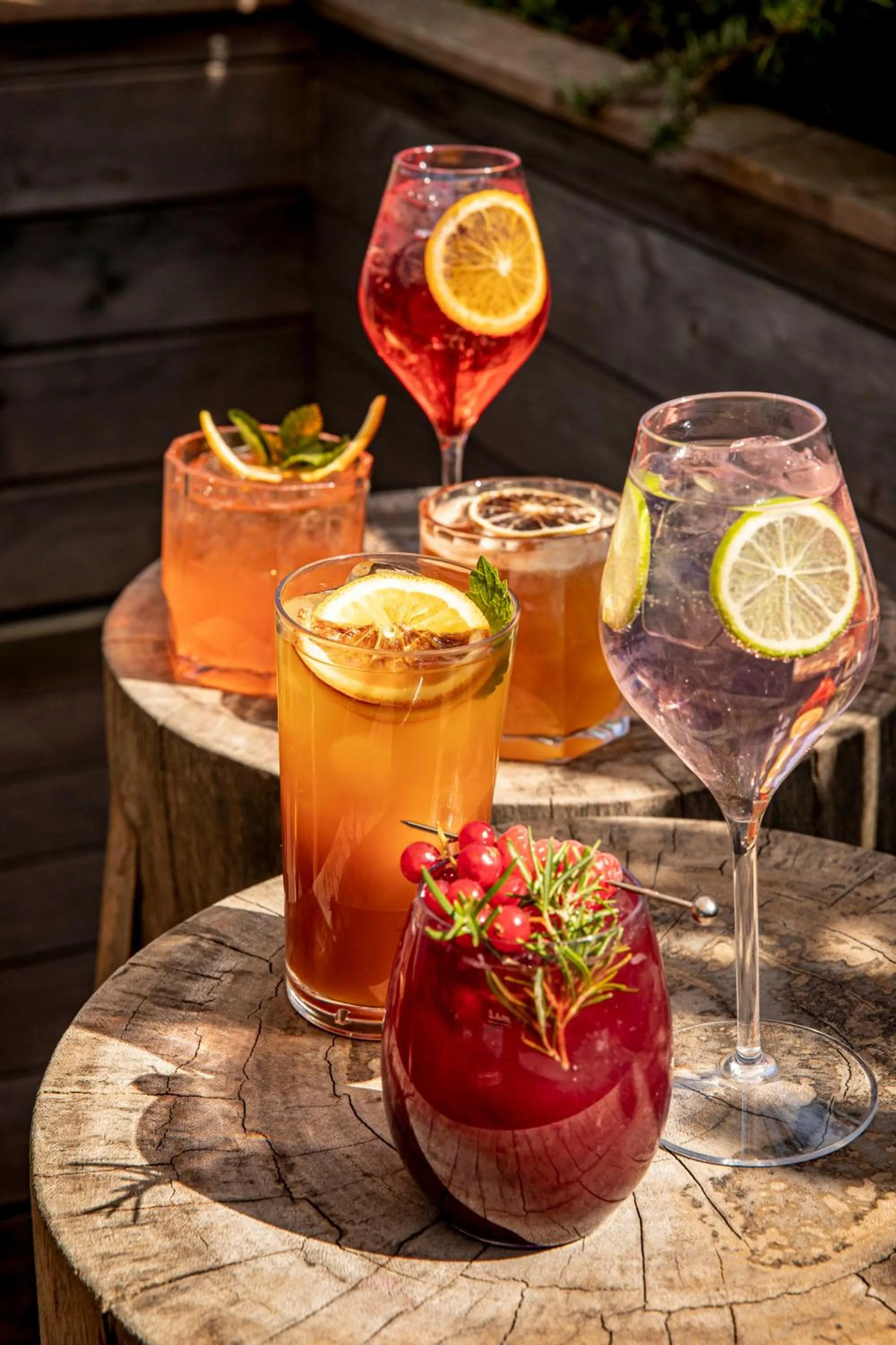 Brach Paris - Evok Collection