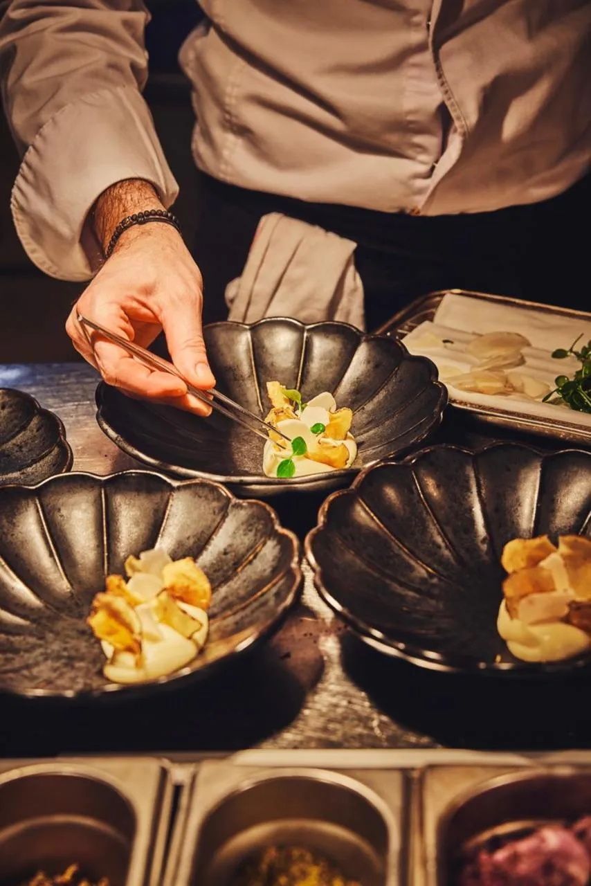 Brach Paris - Evok Collection