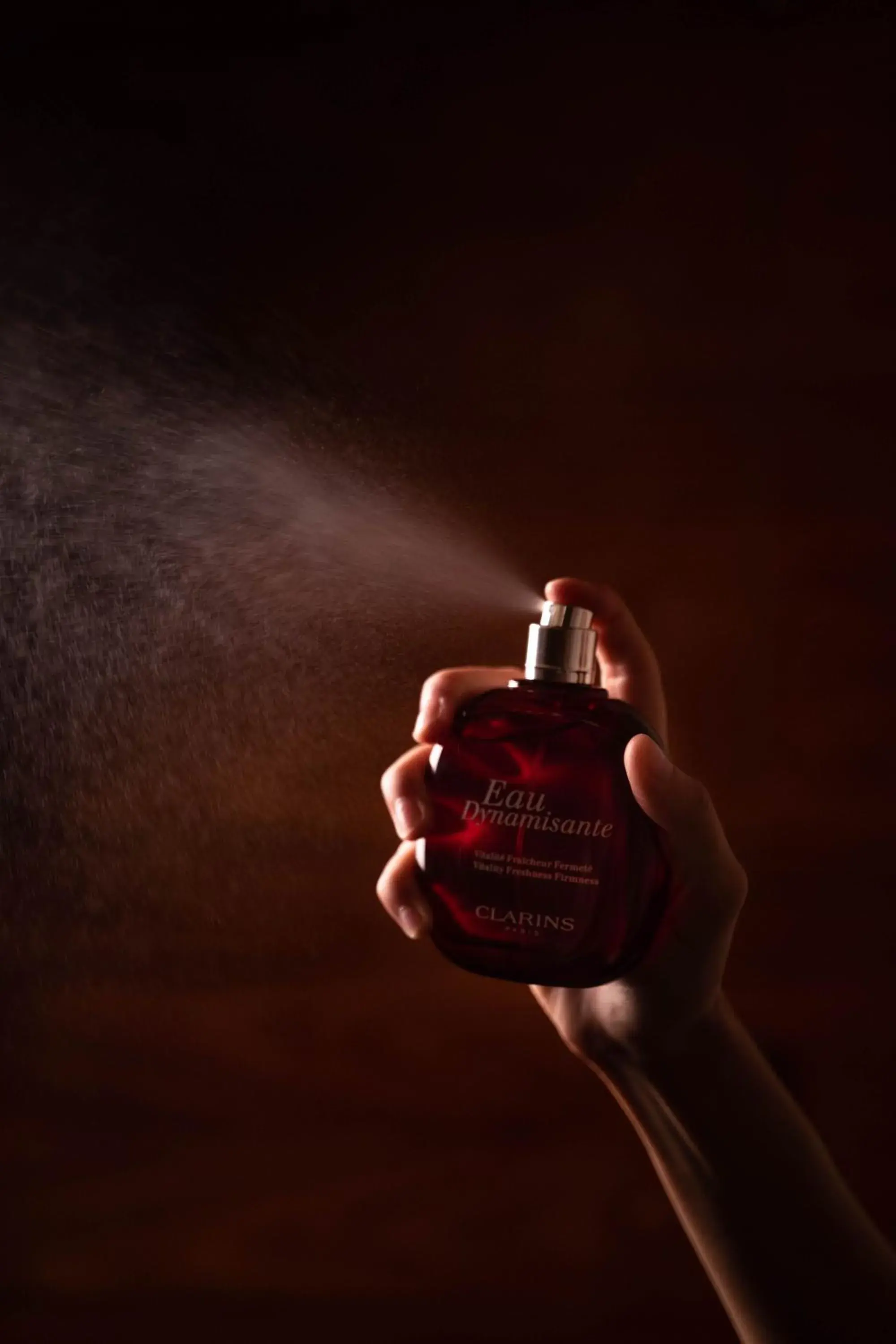 Brach Paris - Evok Collection Brach Paris - Evok Collection