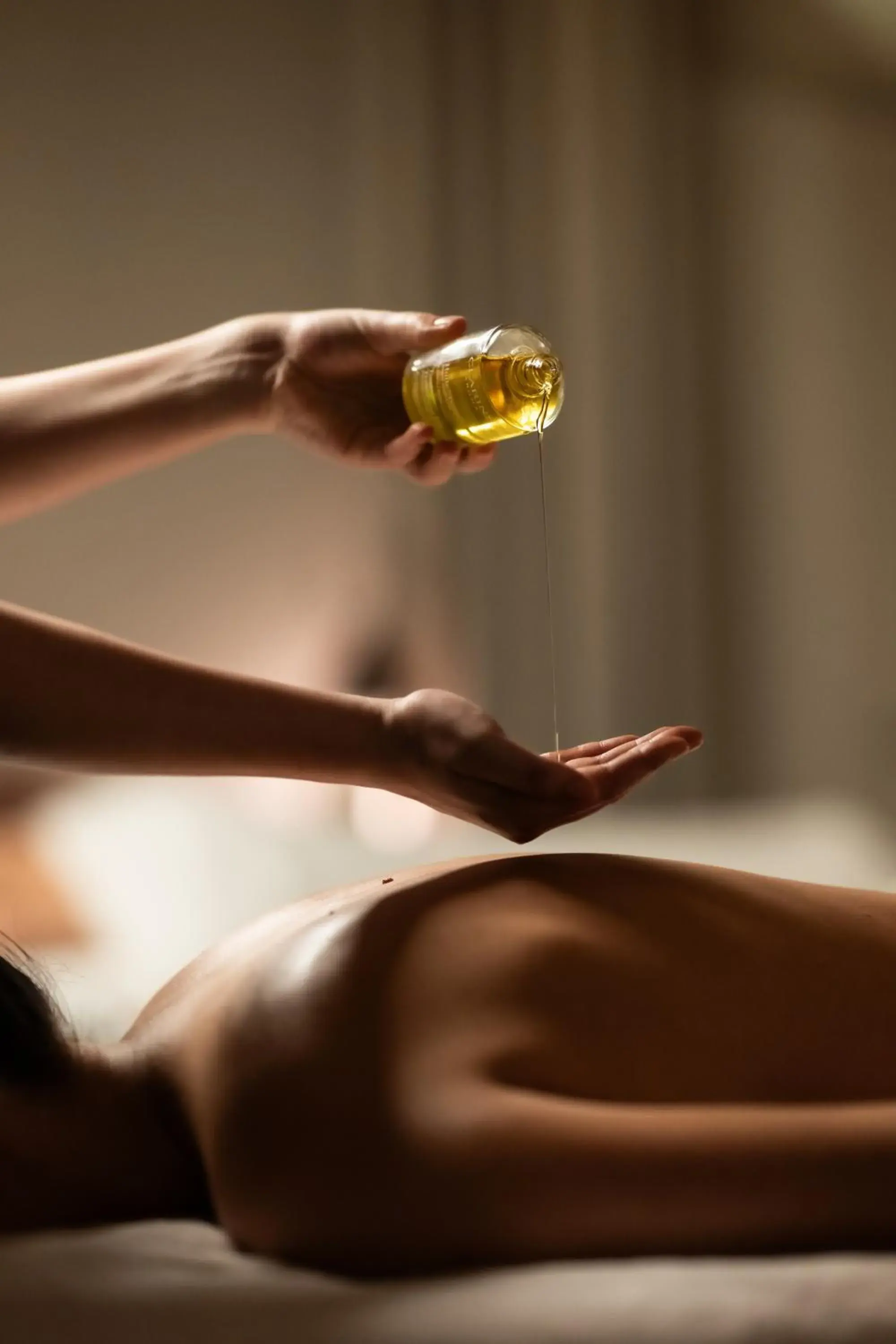 Brach Paris - Evok Collection Brach Paris - Evok Collection