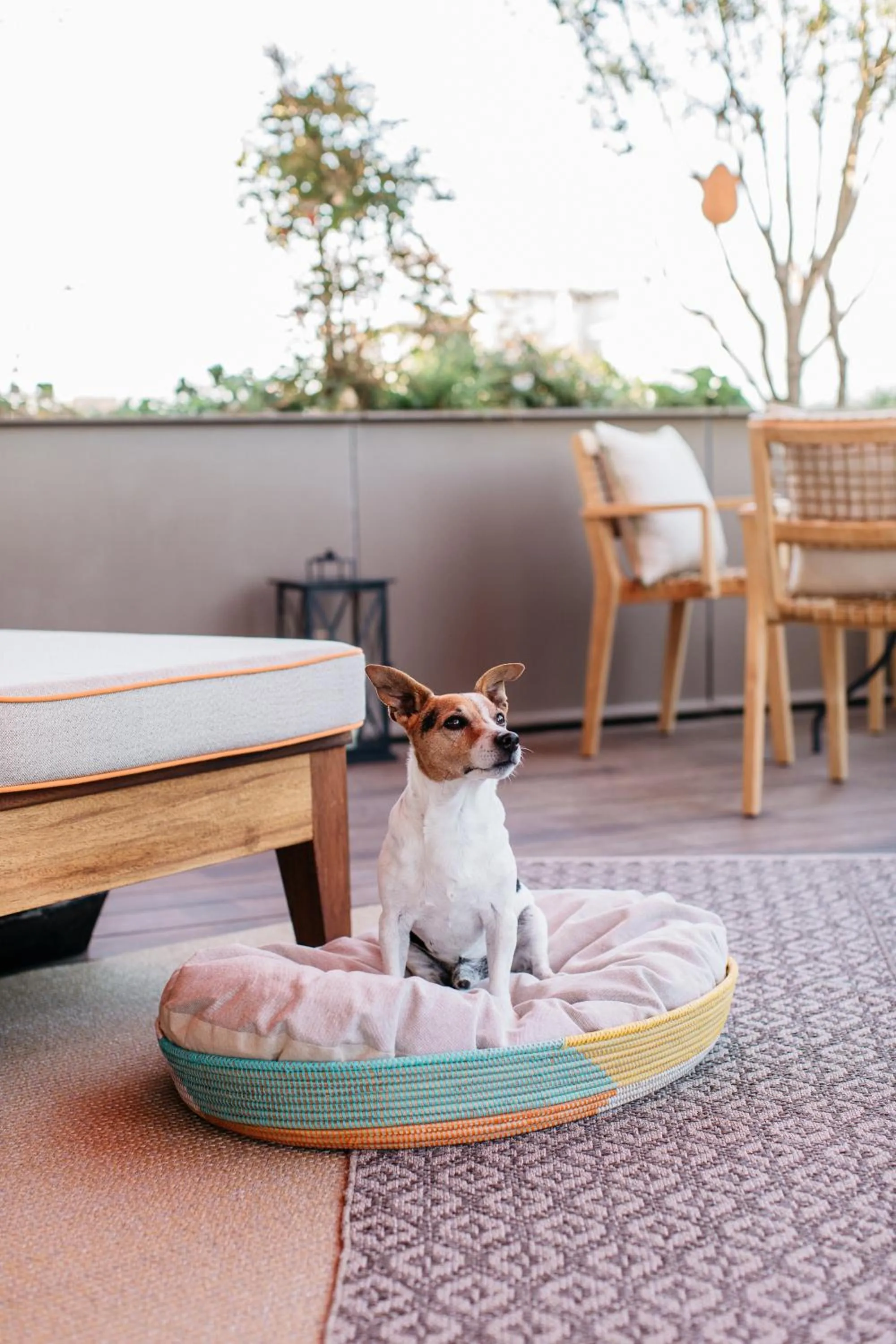 Brach Paris - Evok Collection