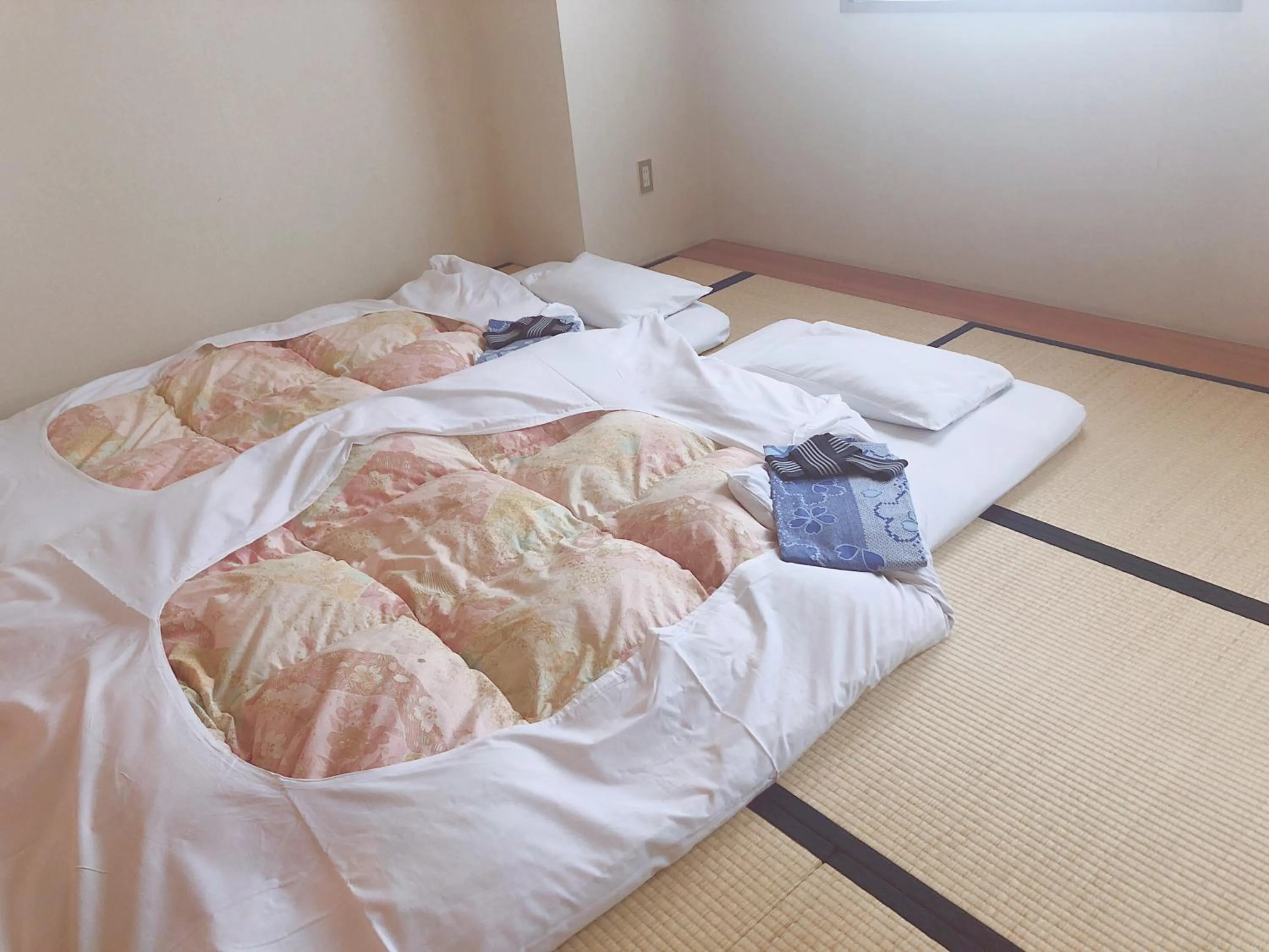 Photo of the whole room, Bed in Hotel Tetora