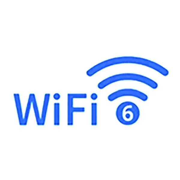 internet in Ryokan Nakadaya