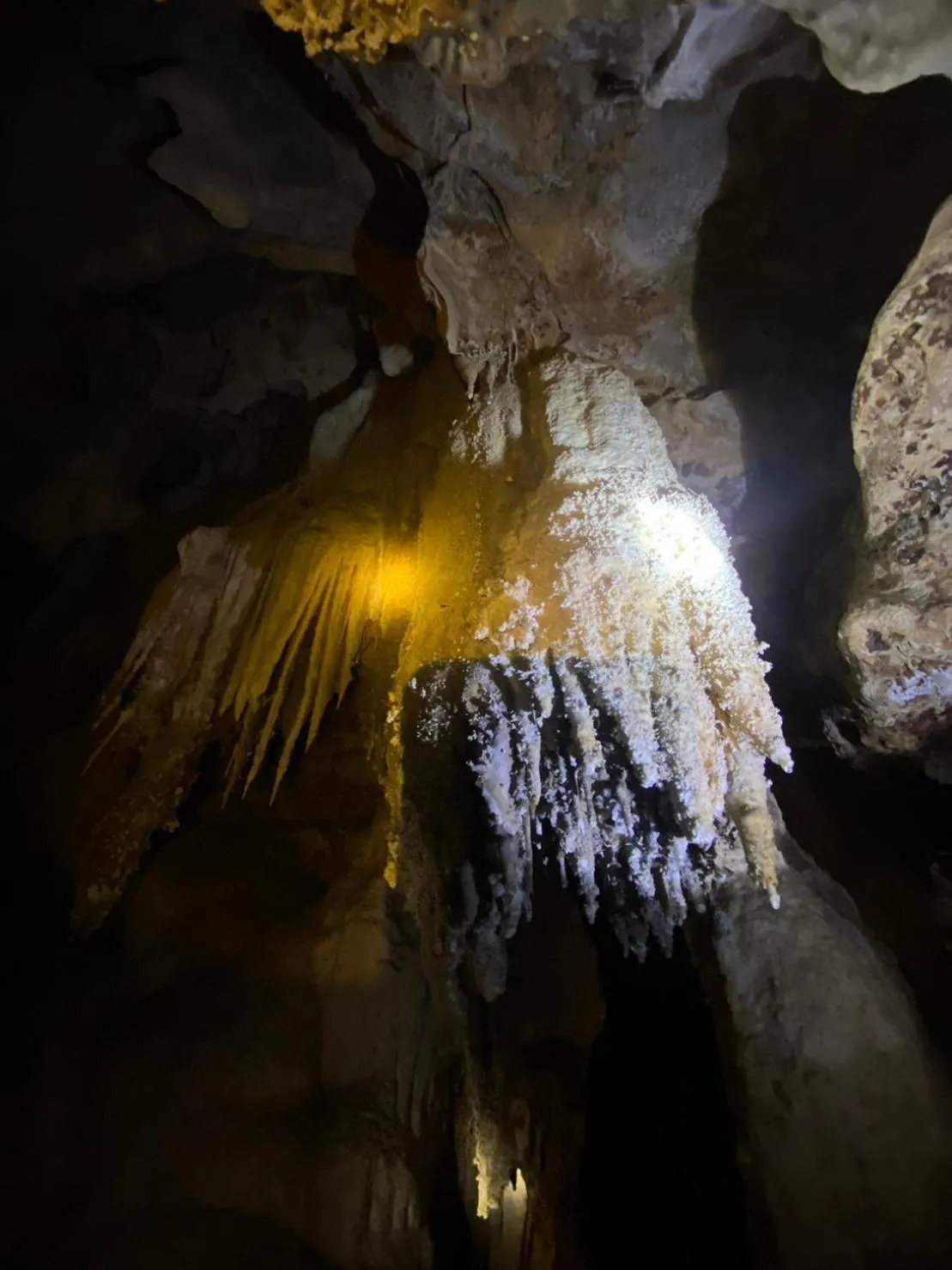 Hiking in Khao Sok Las Orquideas Resort