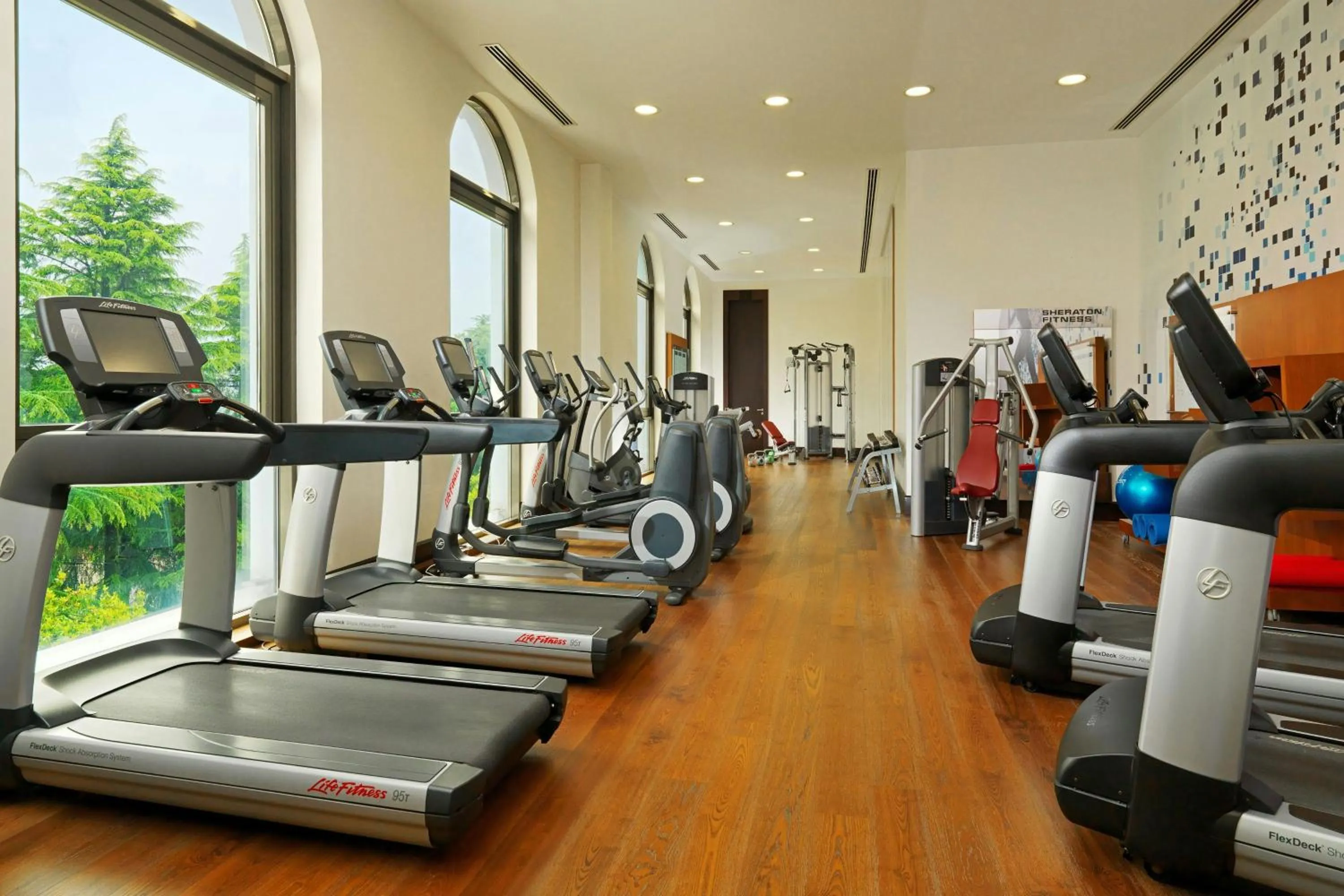 Fitness centre/facilities in Sheraton Batumi Hotel