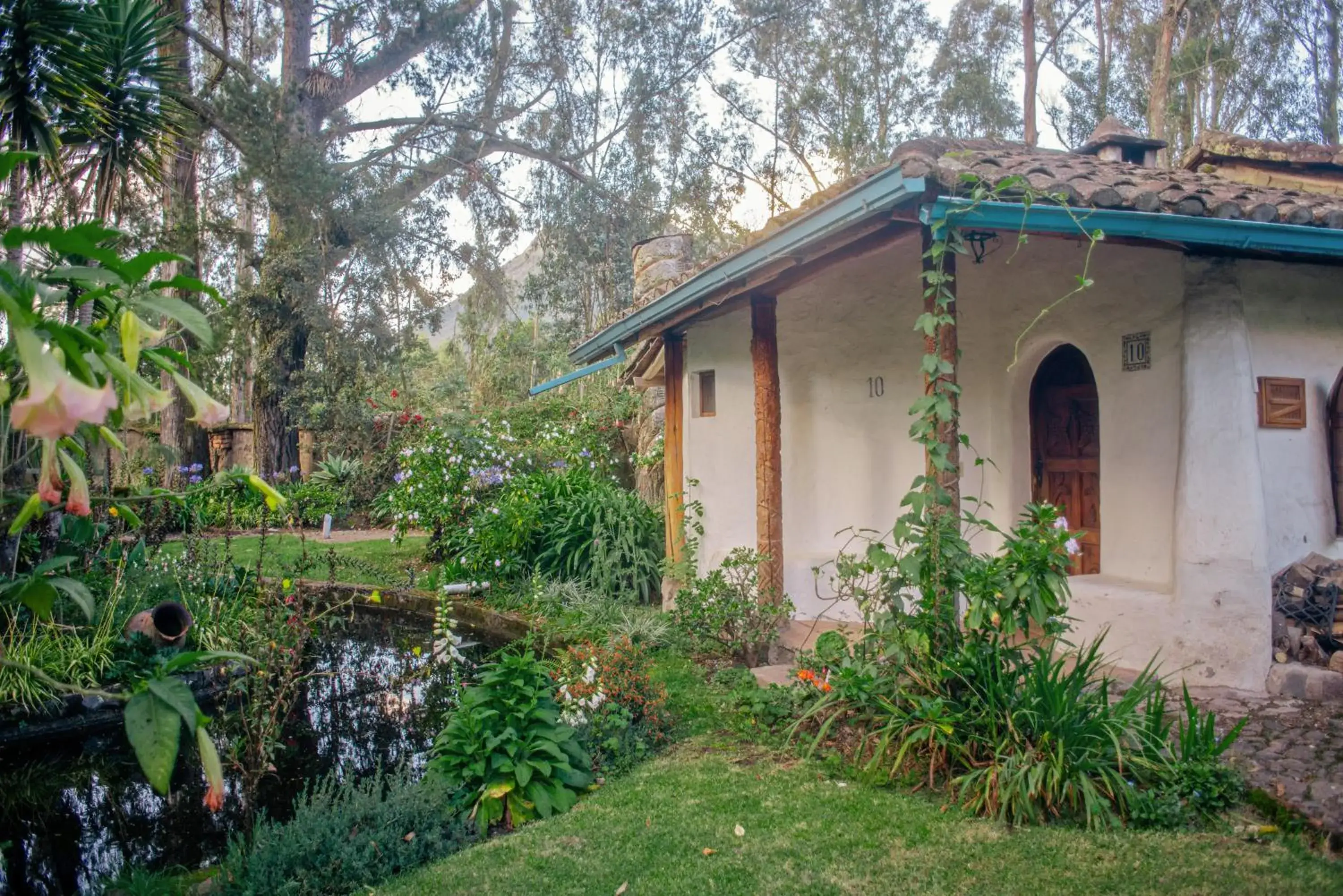Garden view in Hacienda Cusin Garden view in Hacienda Cusin