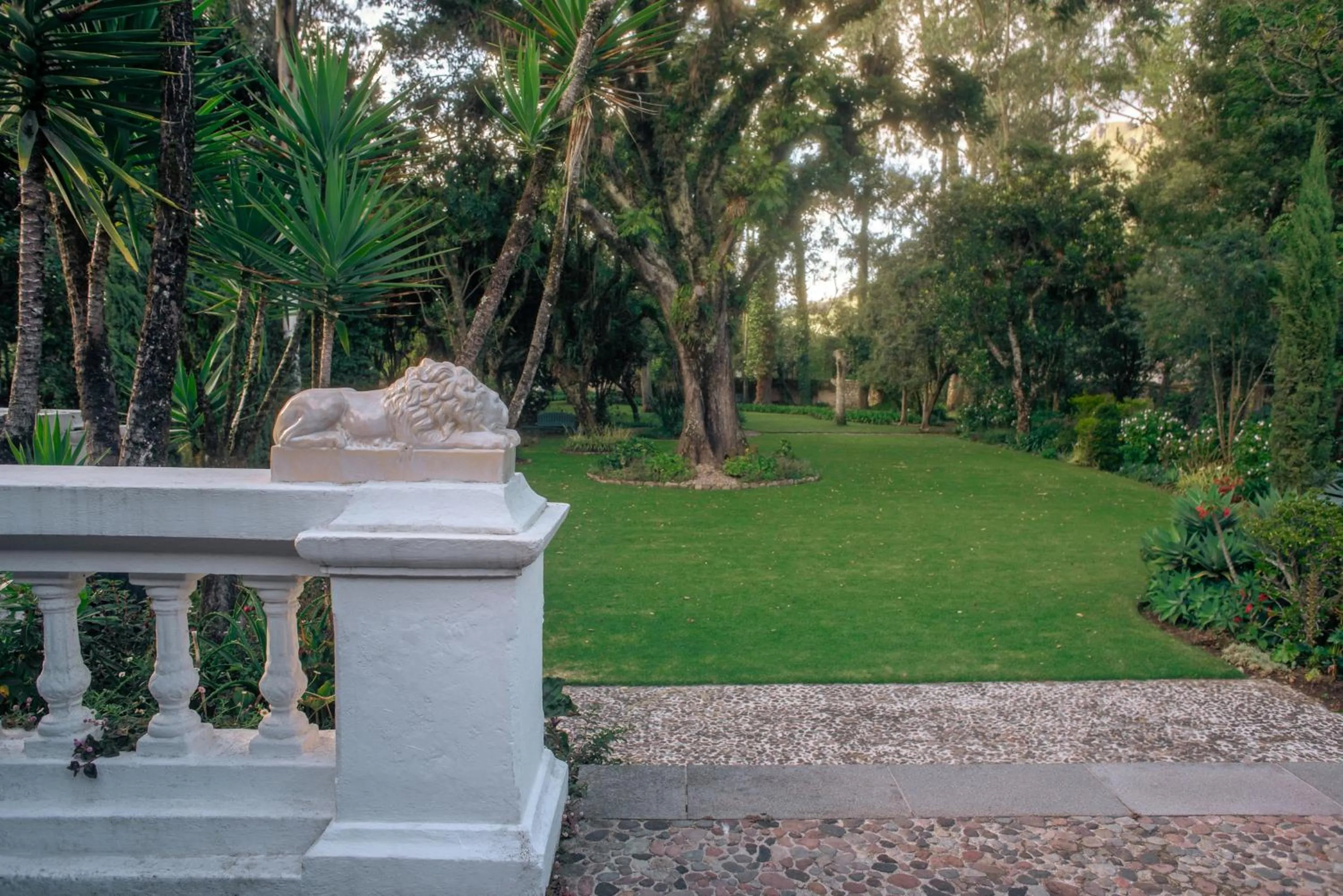 Garden in Hacienda Cusin