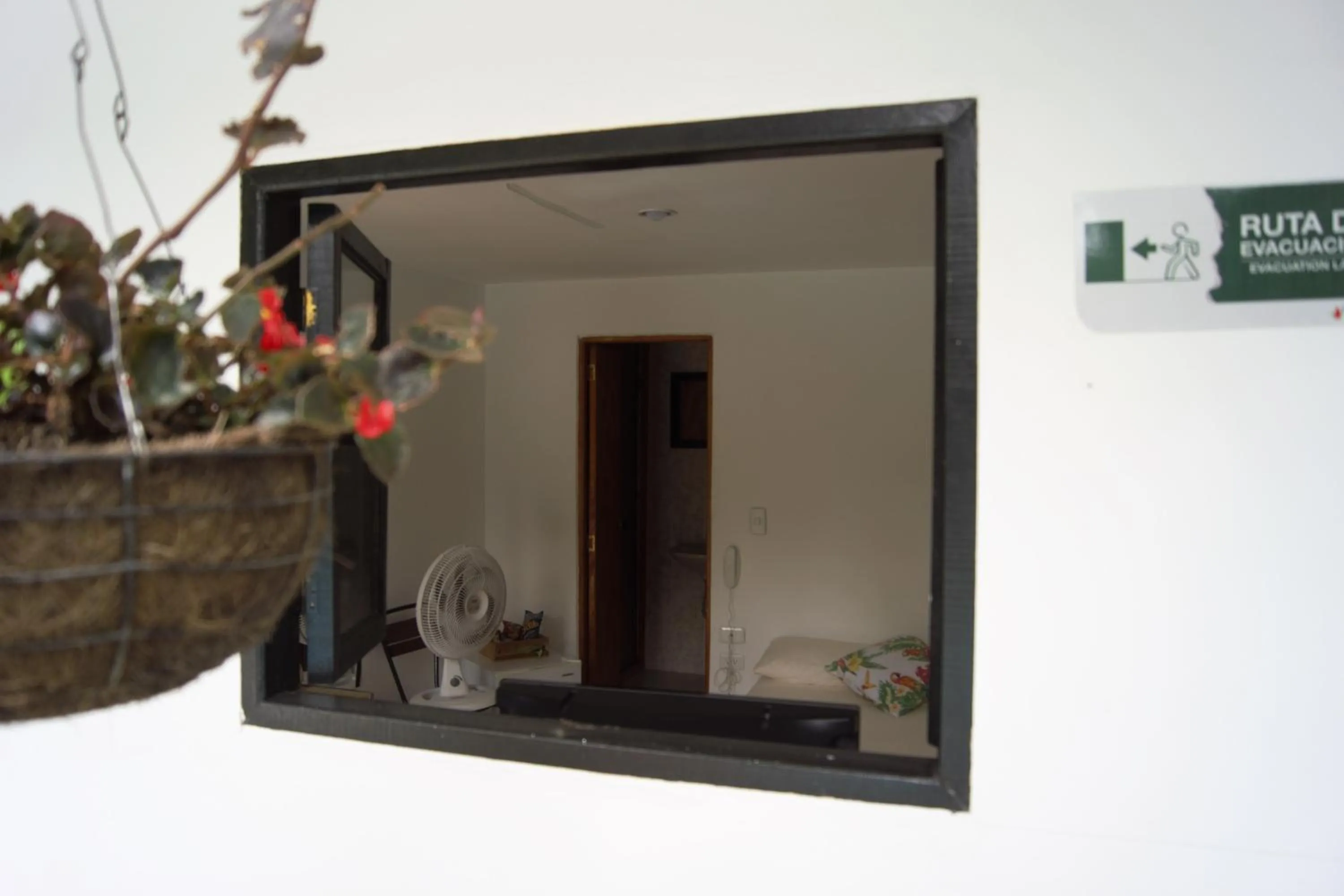 Day in Hotel Premium Real