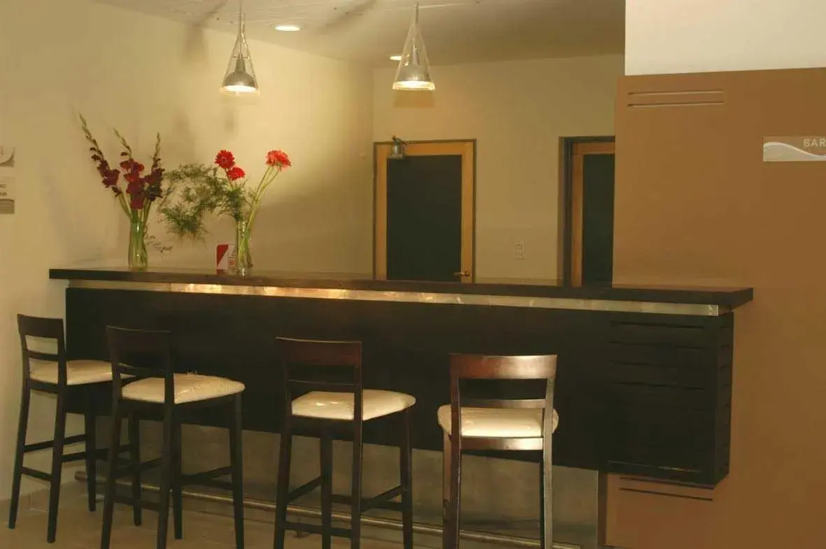 Lounge or bar in Nuevo Mundo Lounge or bar in Nuevo Mundo