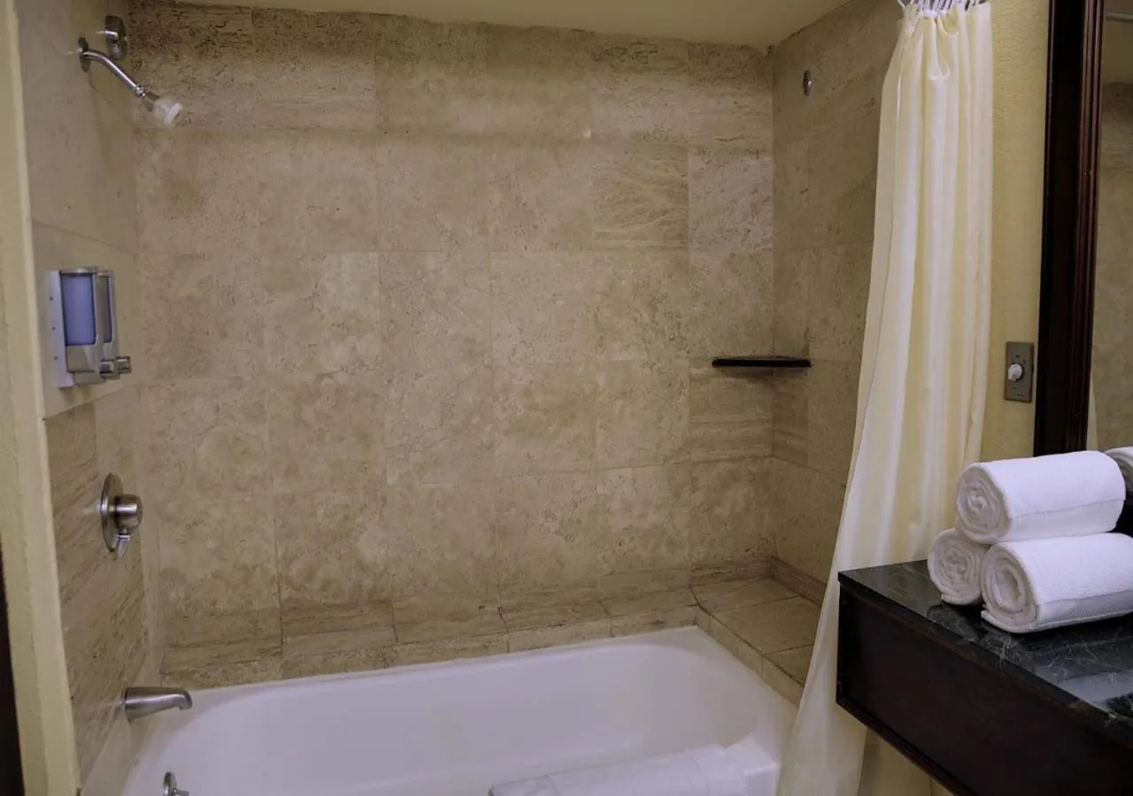 Bathroom in Wyndham San Jose Herradura