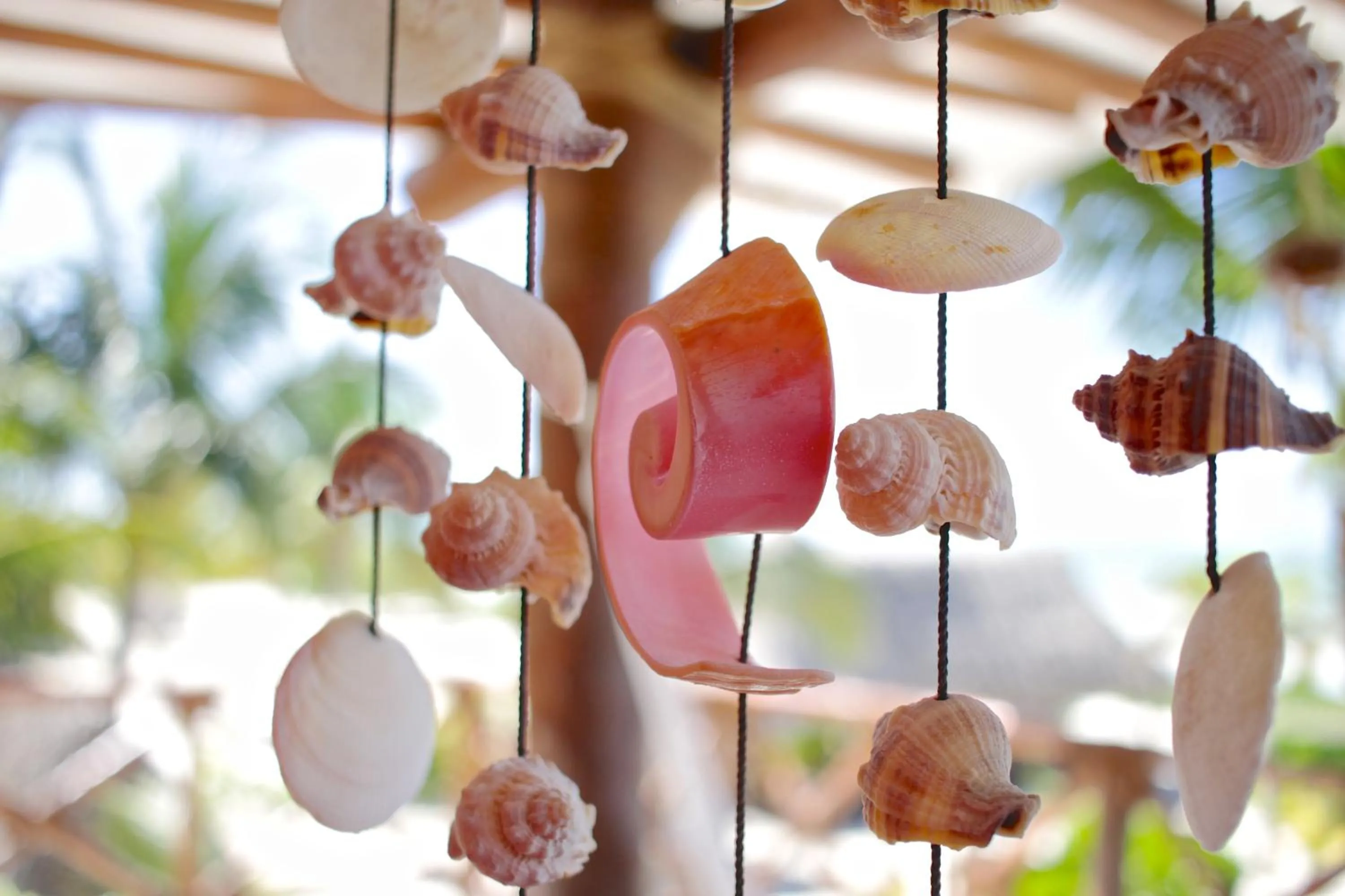 Decorative detail in Palapas del Sol