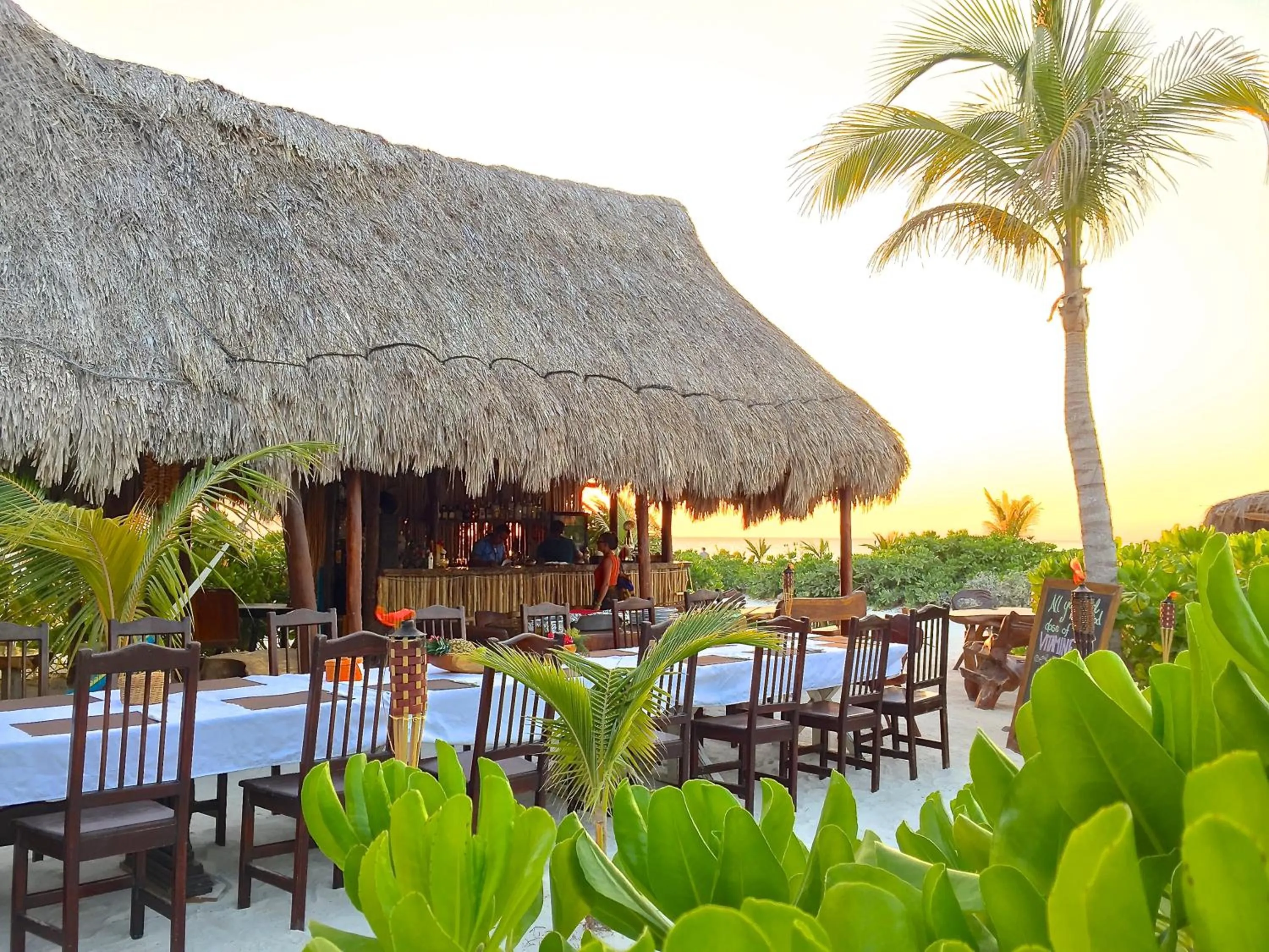 Restaurant/places to eat in Palapas del Sol