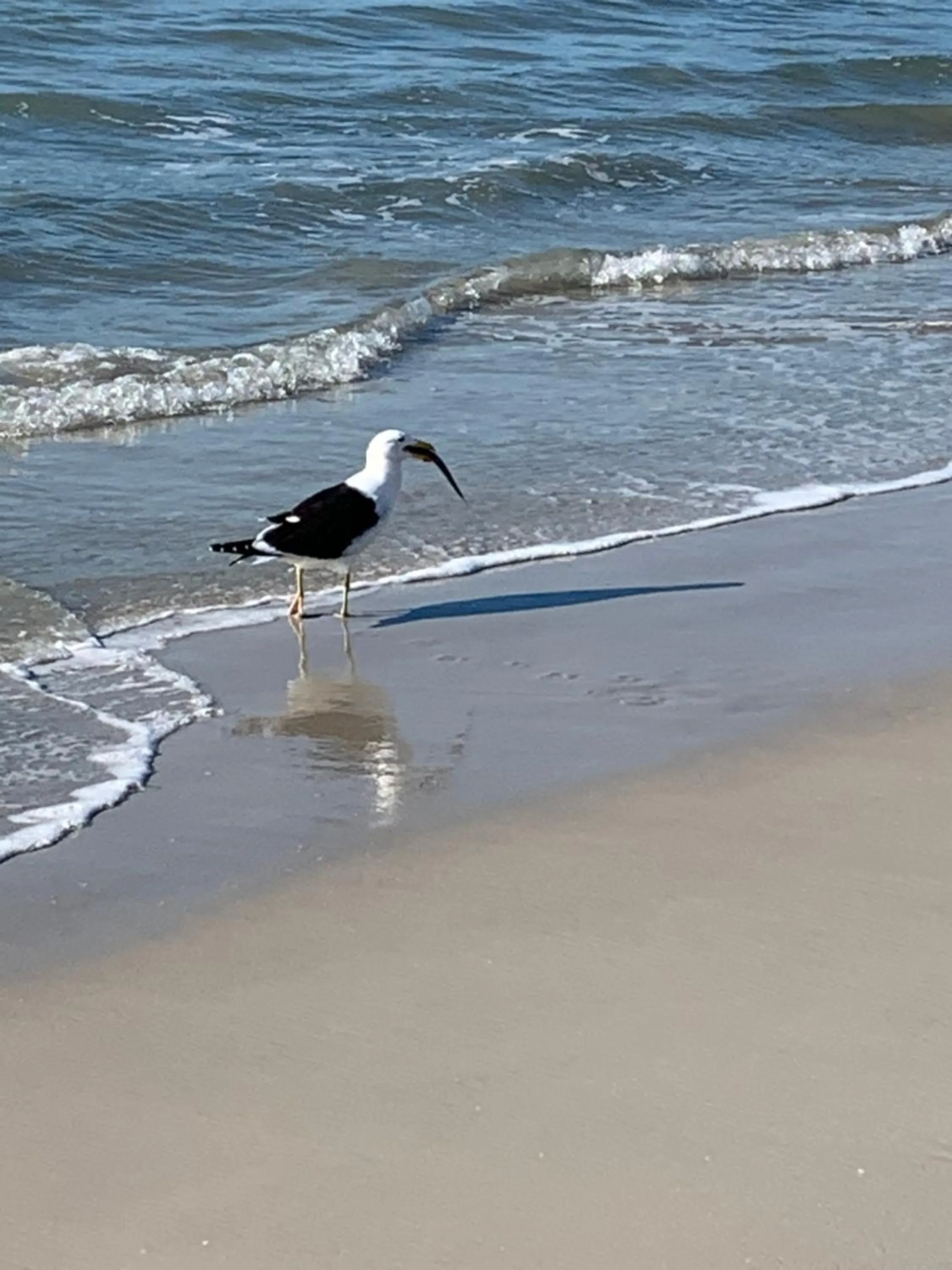 Canascenter Apart Hotel