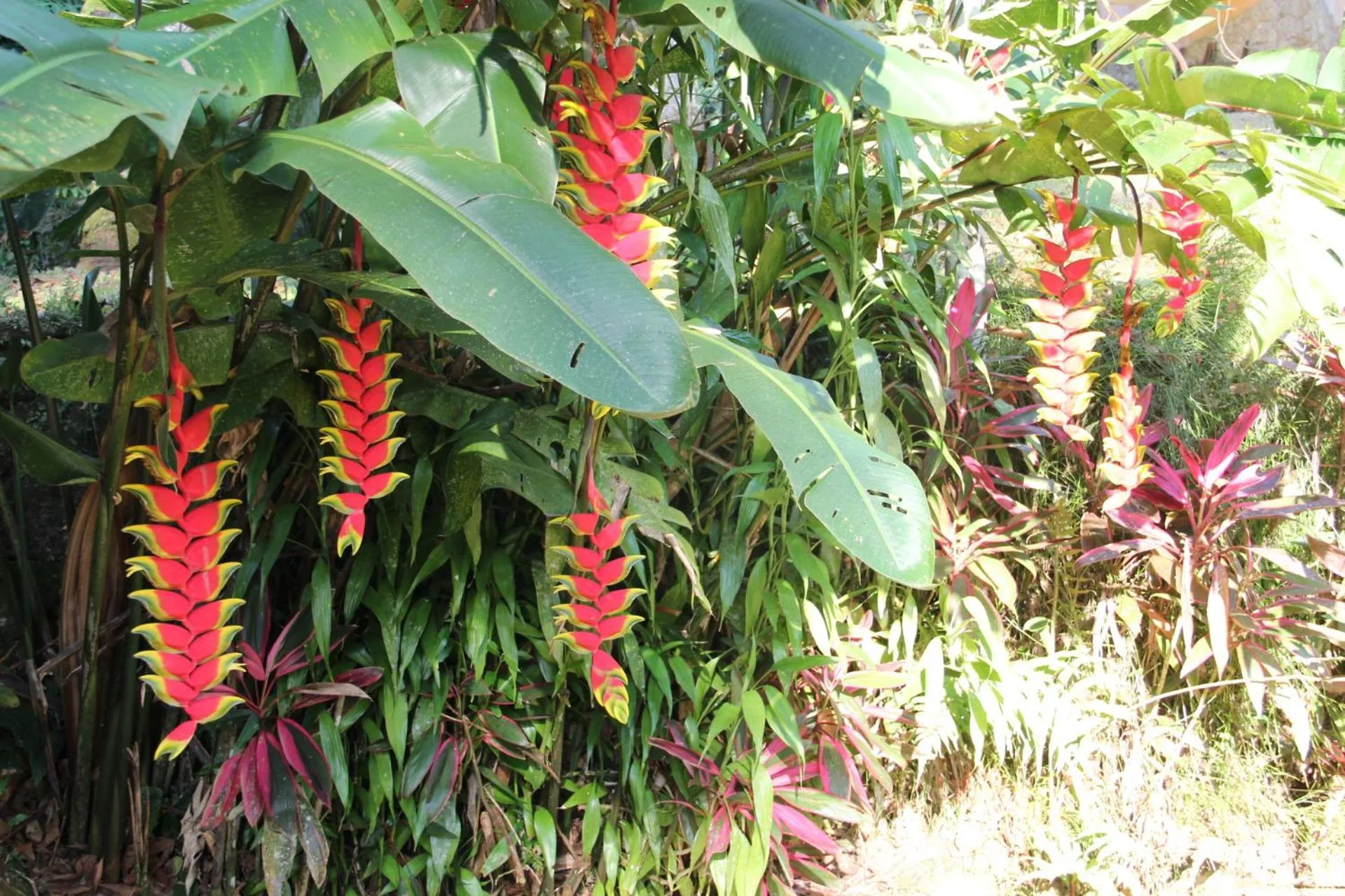 Natural landscape in Pousada Sitio Araribá