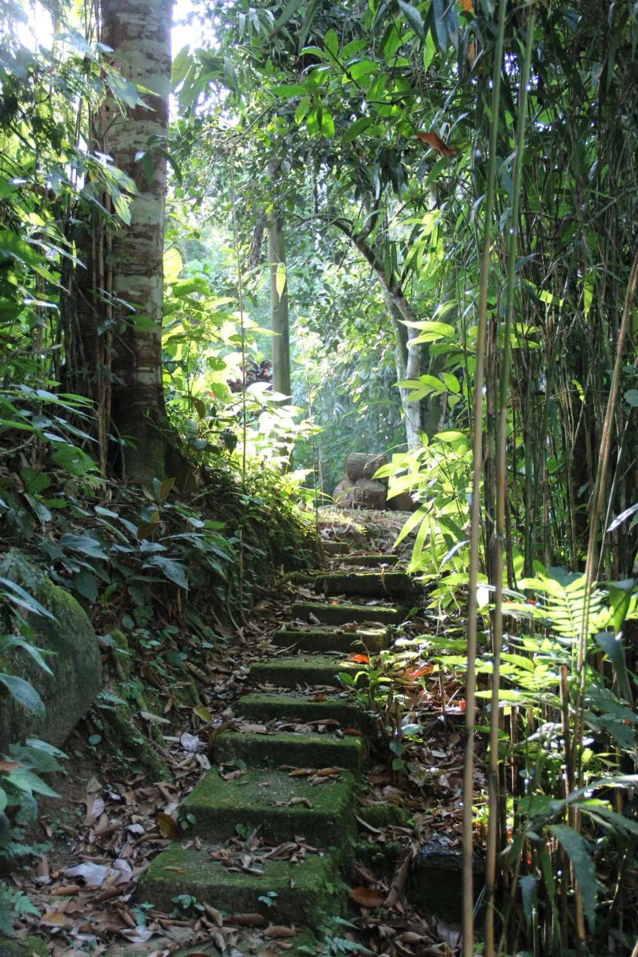 Natural landscape in Pousada Sitio Araribá