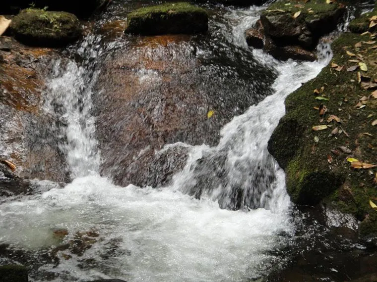 Other in Pousada Sitio Araribá