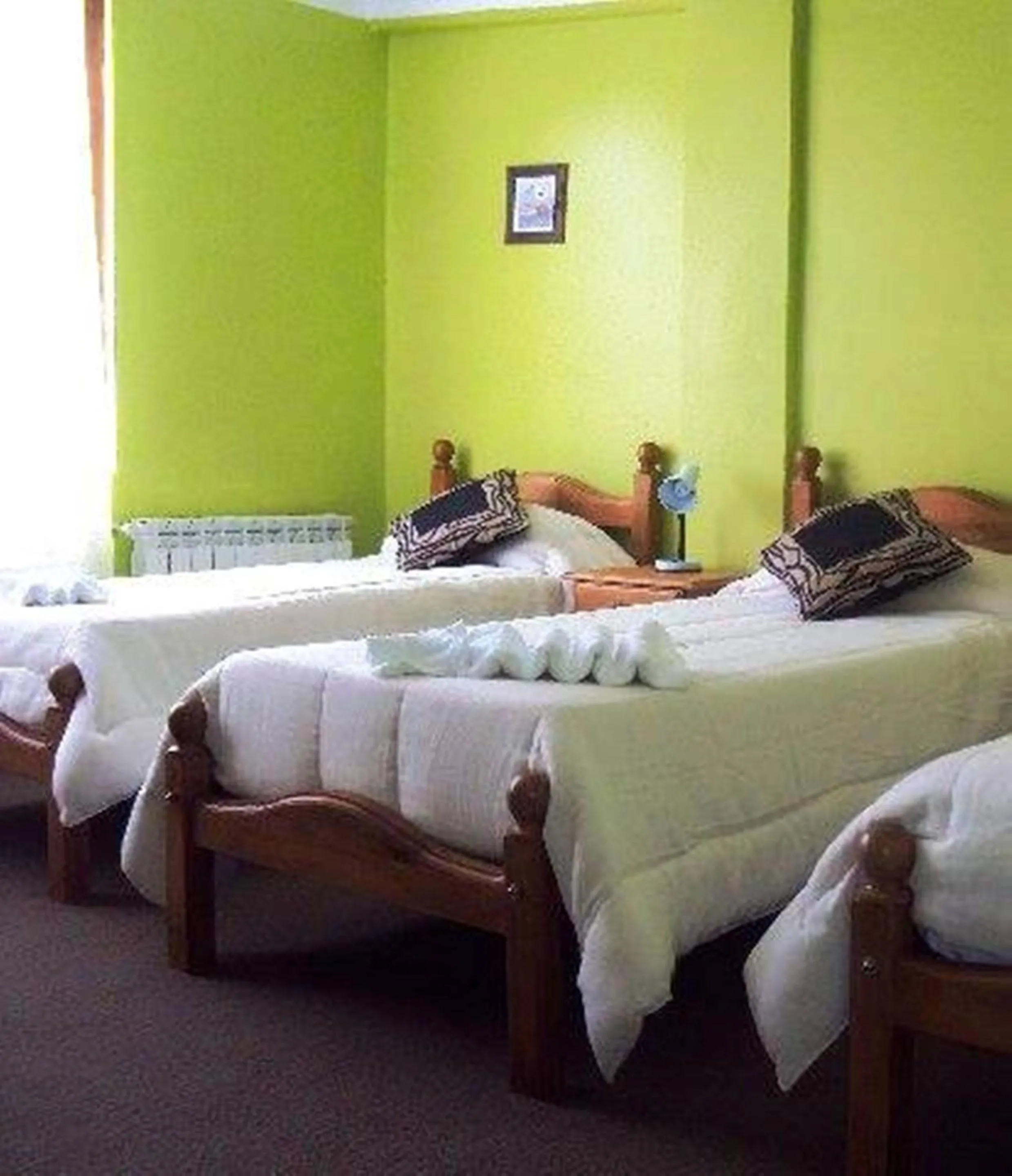 Posada del Pinguino
