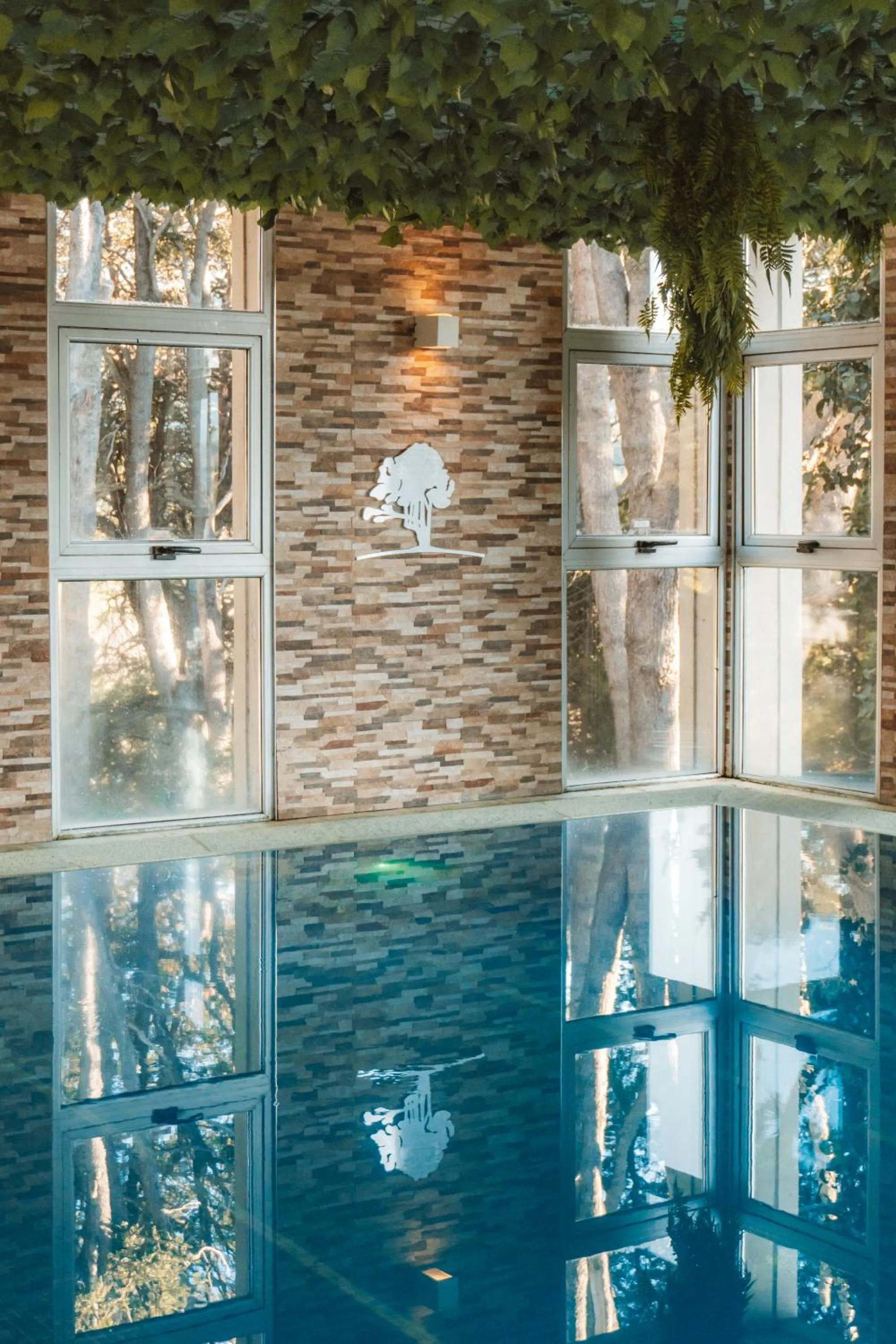 Pool view in Boutique Hotel & Spa Bosque del Nahuel