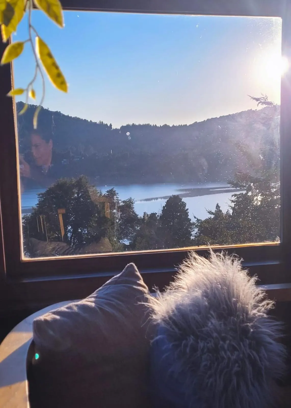 Restaurant/places to eat in Boutique Hotel & Spa Bosque del Nahuel