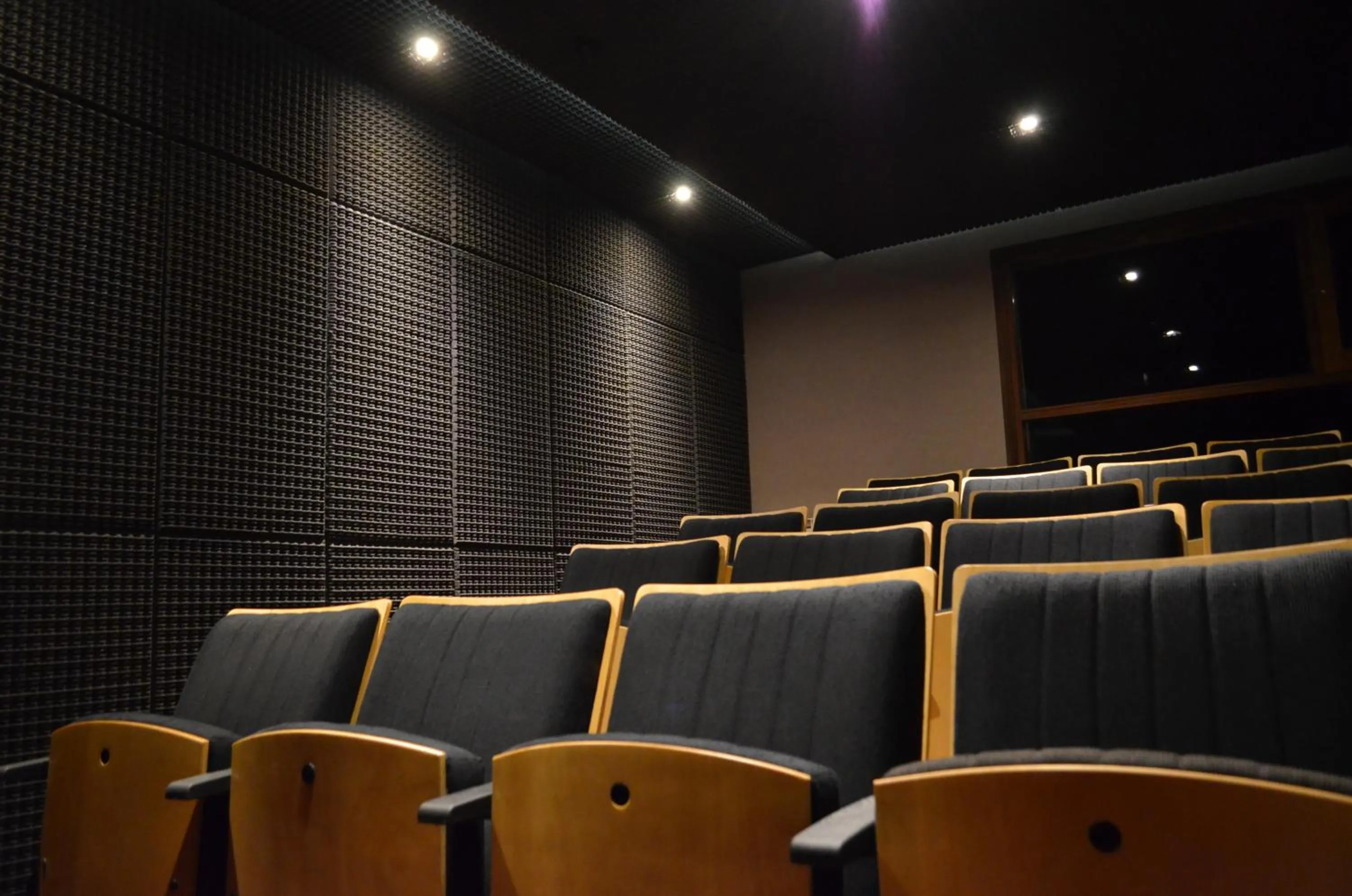 Communal lounge/ TV room in Boutique Hotel & Spa Bosque del Nahuel