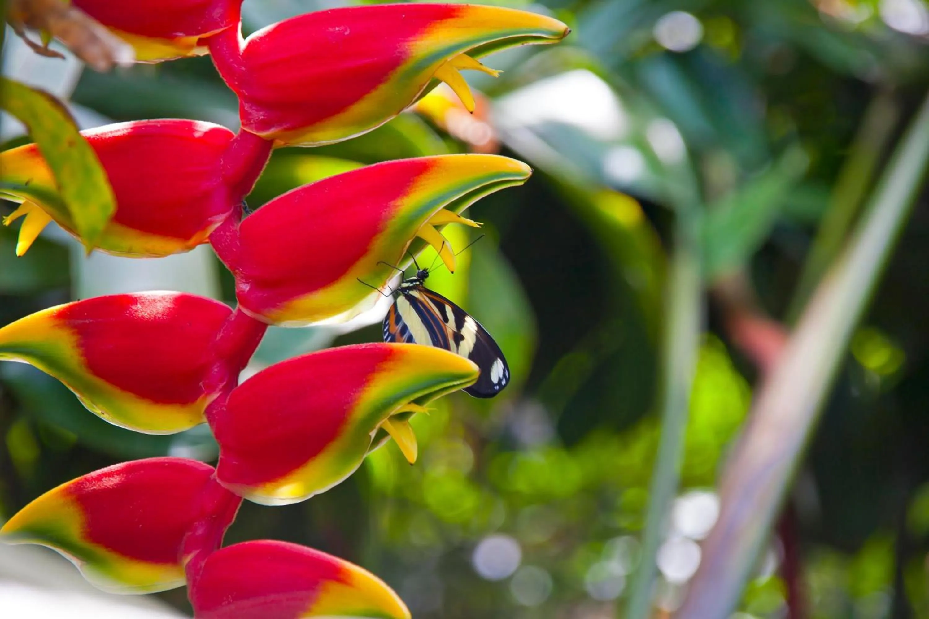 Day in Tierra Guaraní Lodge