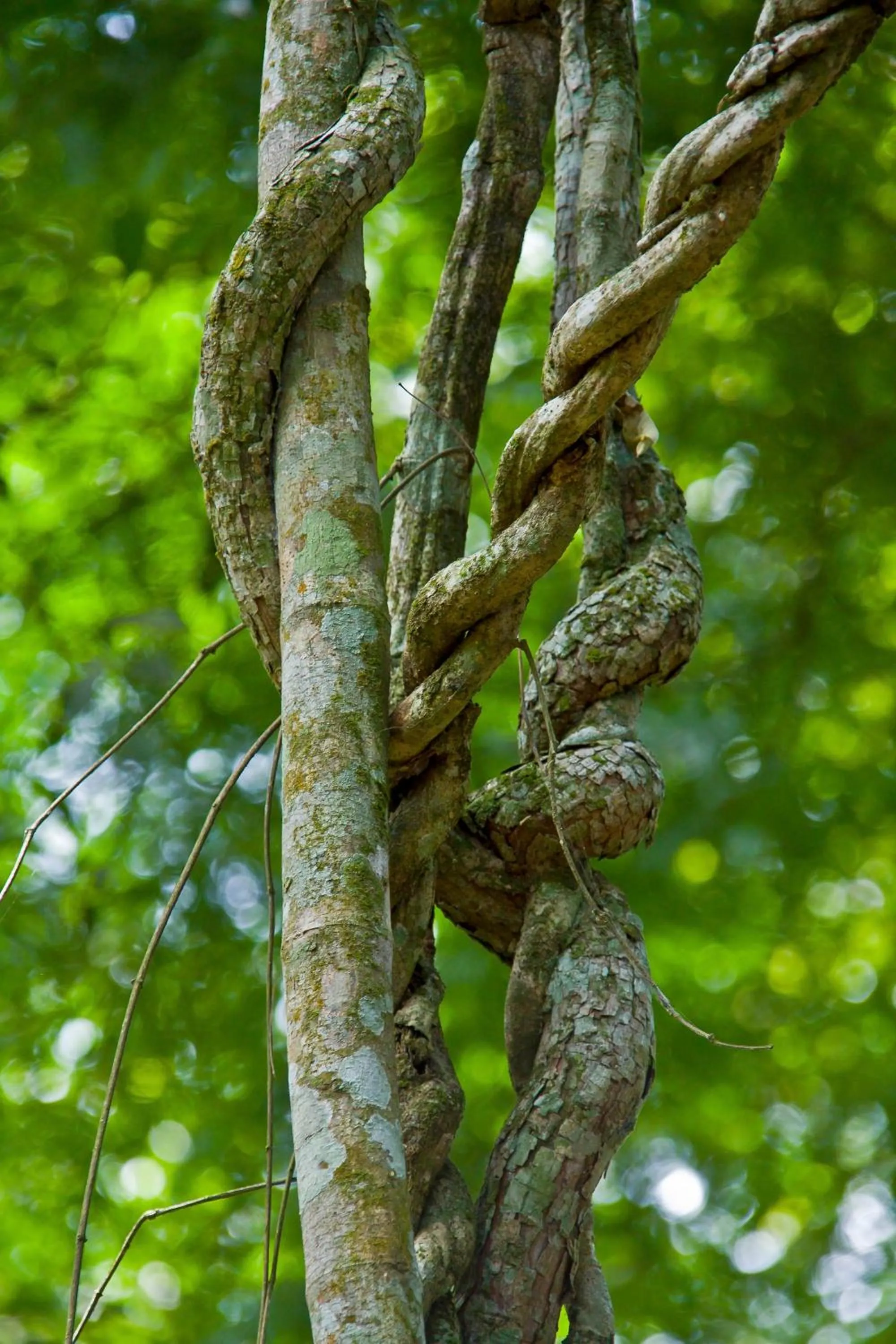 Day in Tierra Guaraní Lodge