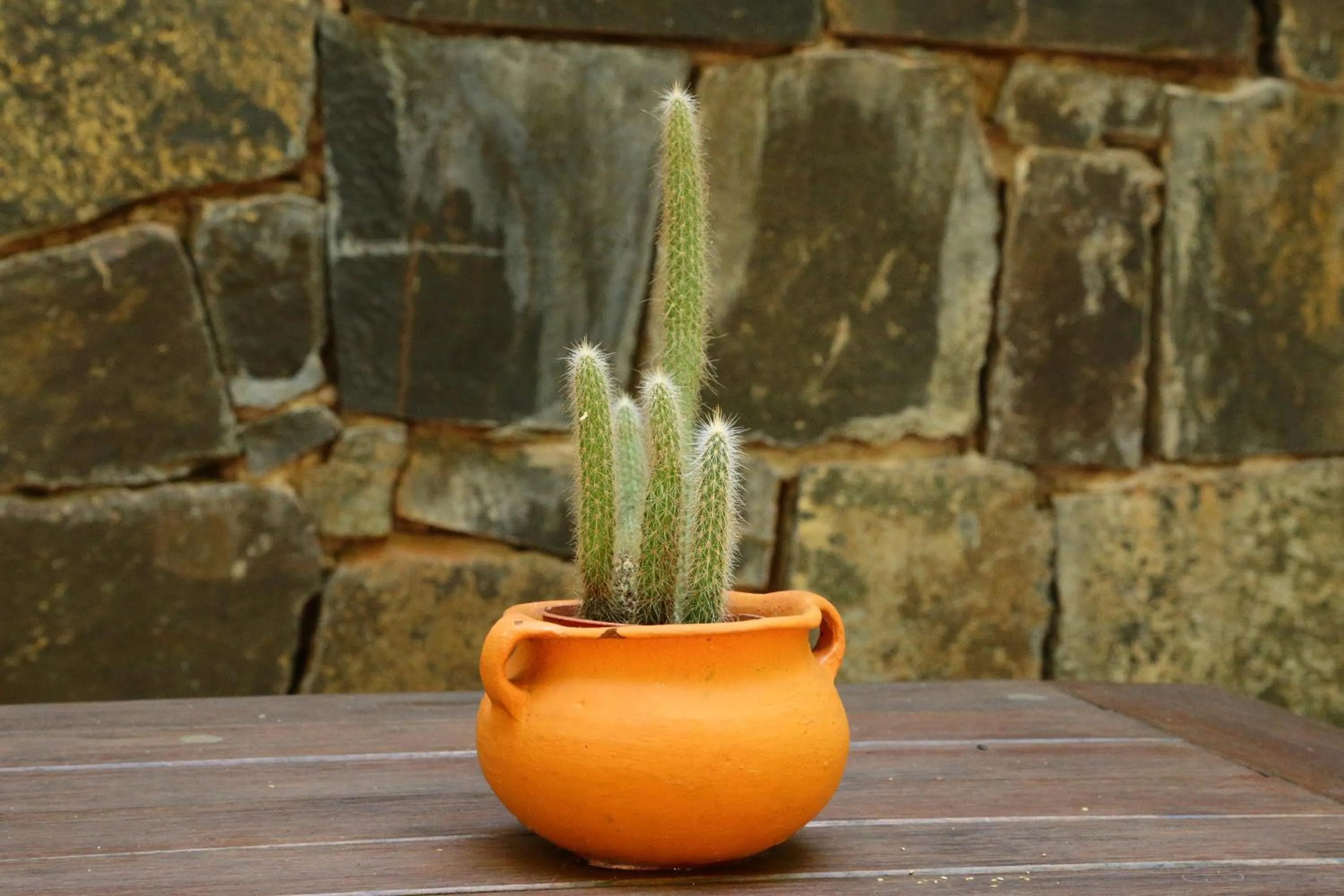 Other in Tierra Guaraní Lodge