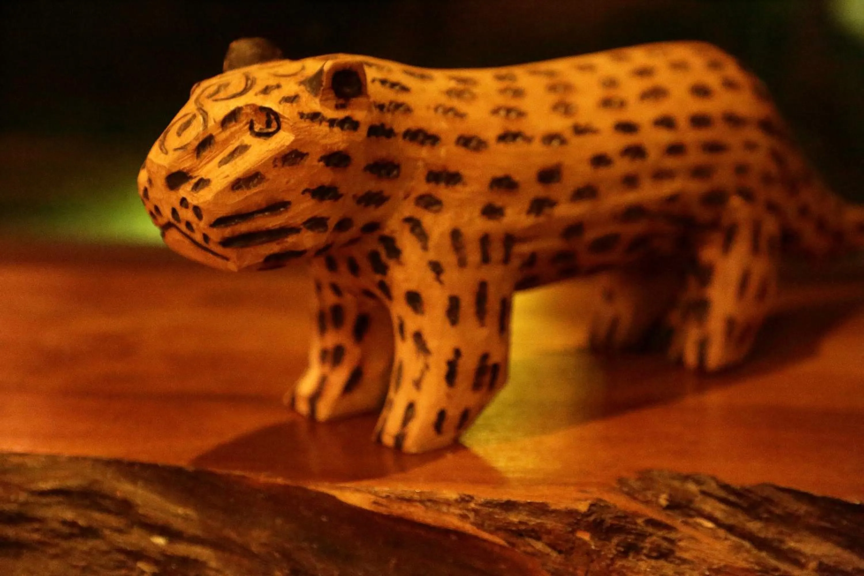 Decorative detail in Tierra Guaraní Lodge