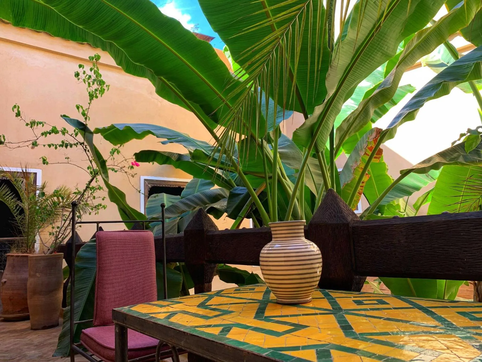 Garden in Riad Bamileke