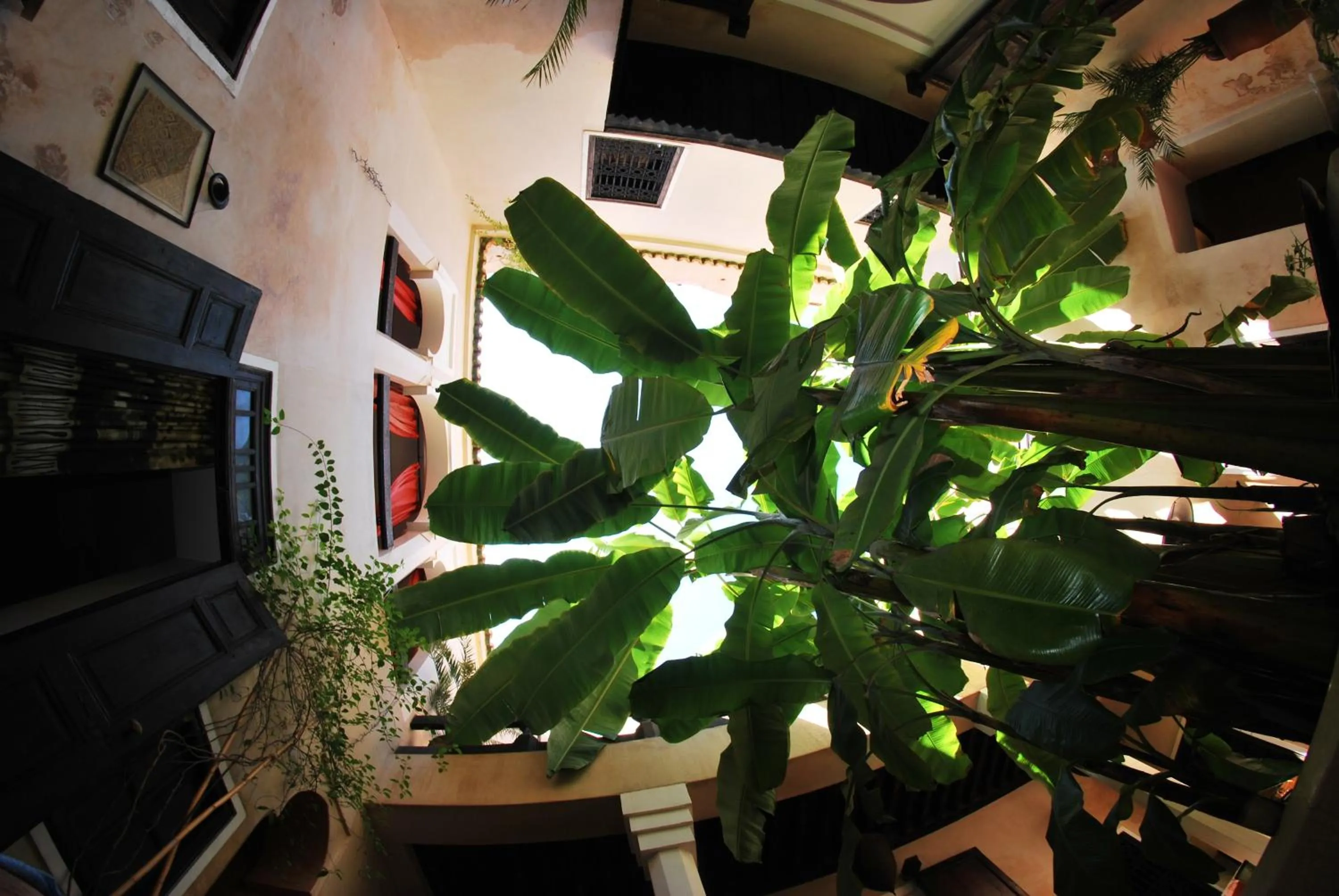 Patio in Riad Bamileke