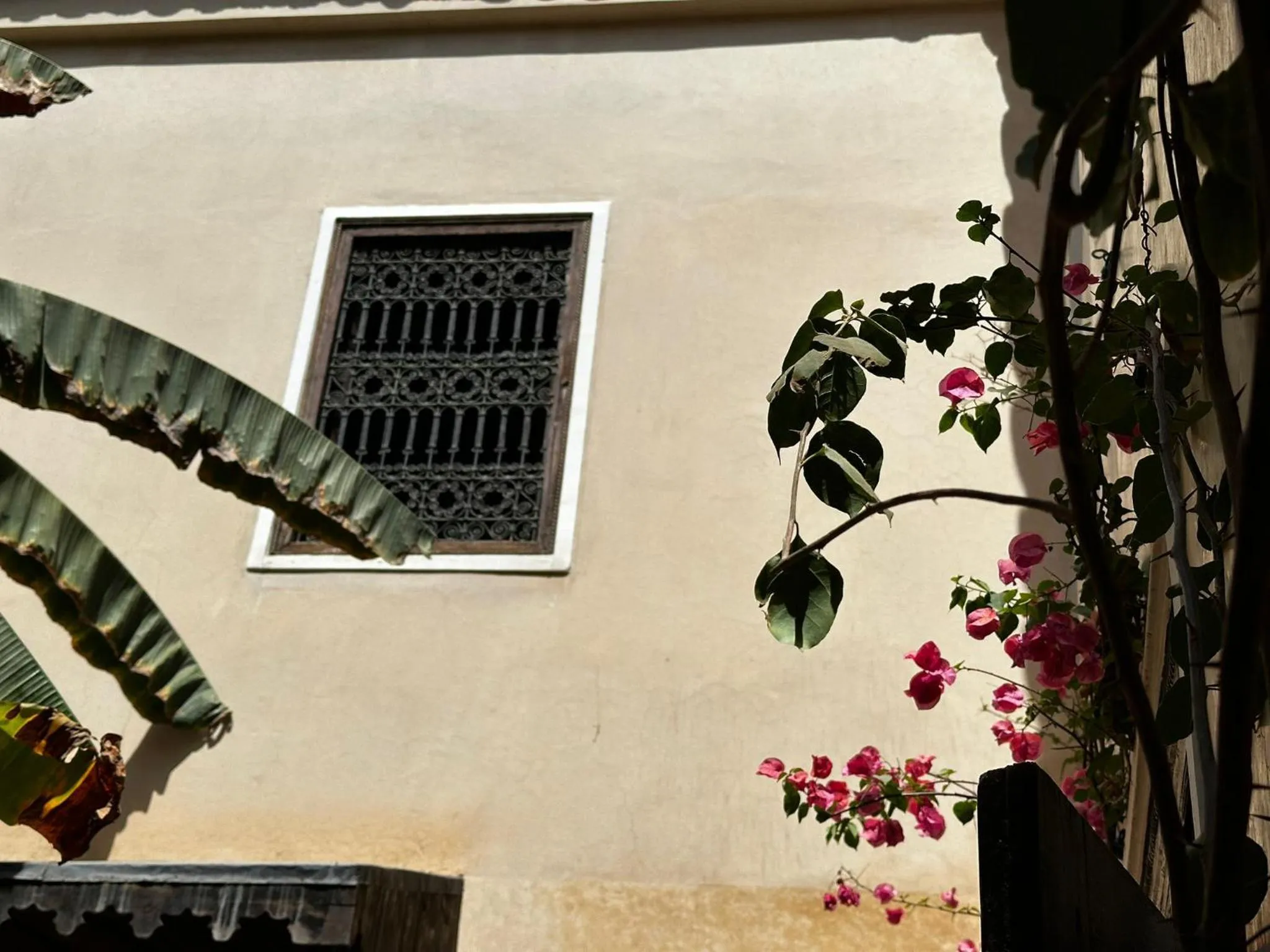 Day in Riad Bamileke