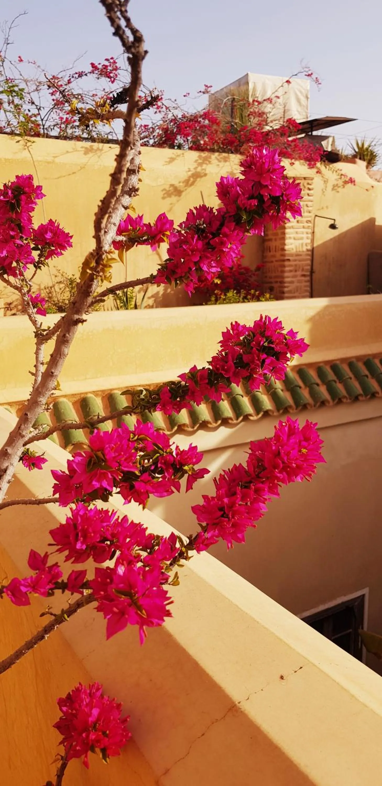 Property building in Riad Bamileke