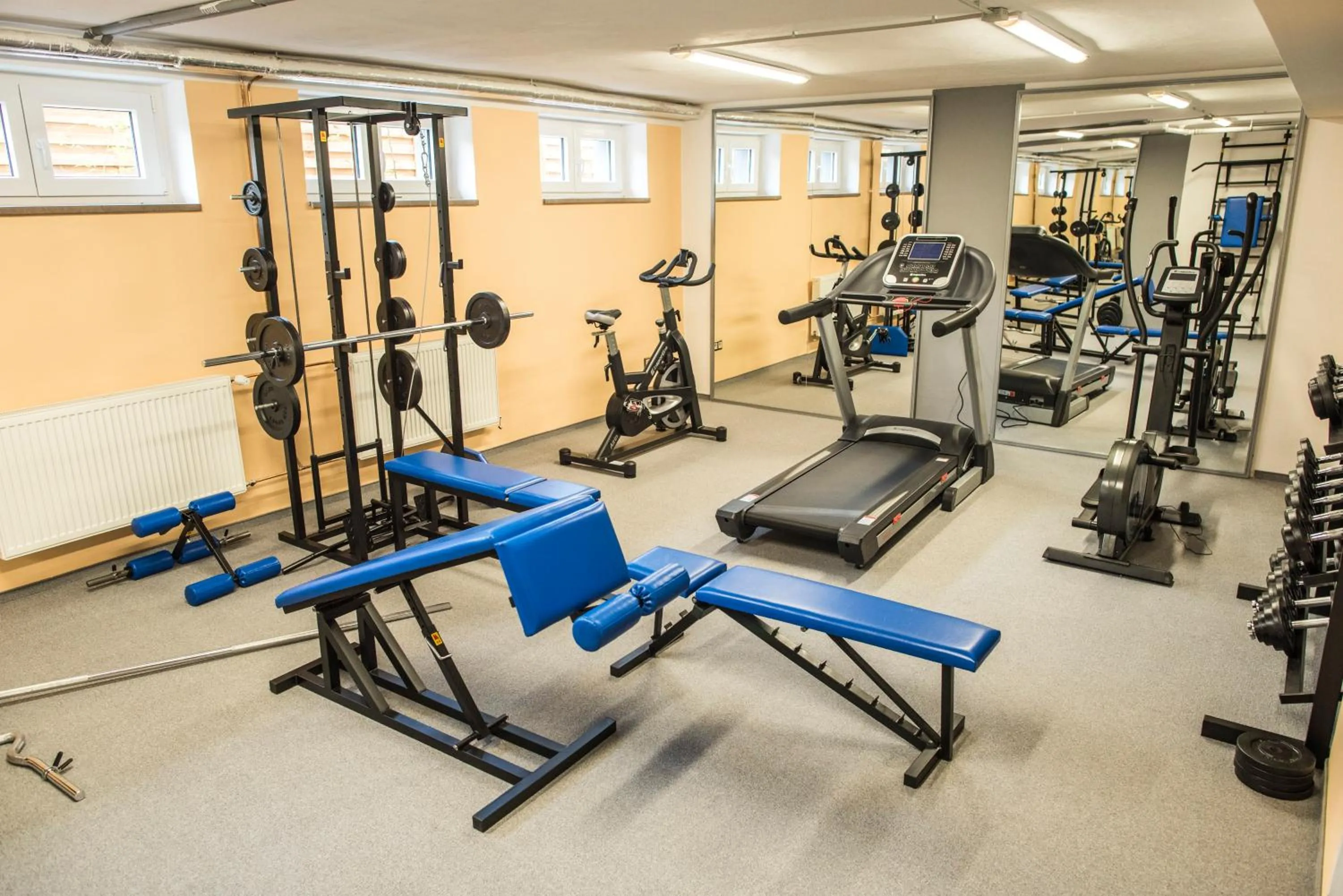 Fitness centre/facilities in Hotel Na Vývoji