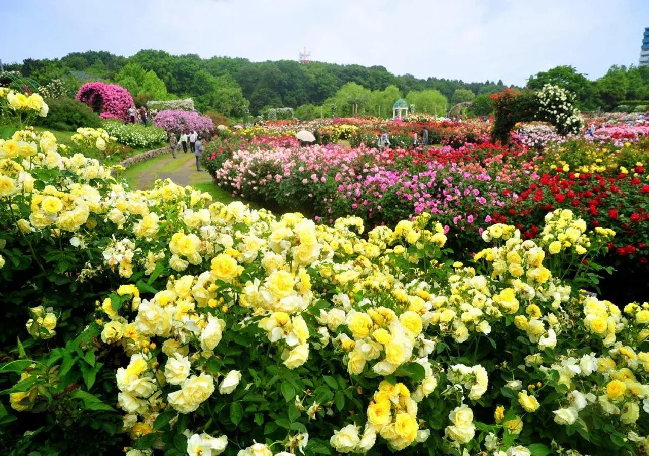 Property building in APA Hotel Chiba Yachiyo Midorigaoka Property building in APA Hotel Chiba Yachiyo Midorigaoka