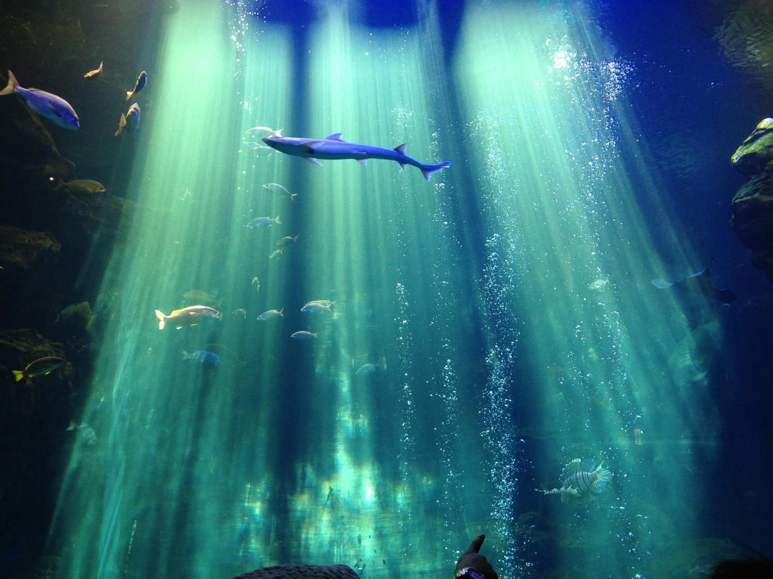Nearby landmark in APA Hotel Kyoto Eki Horikawadori