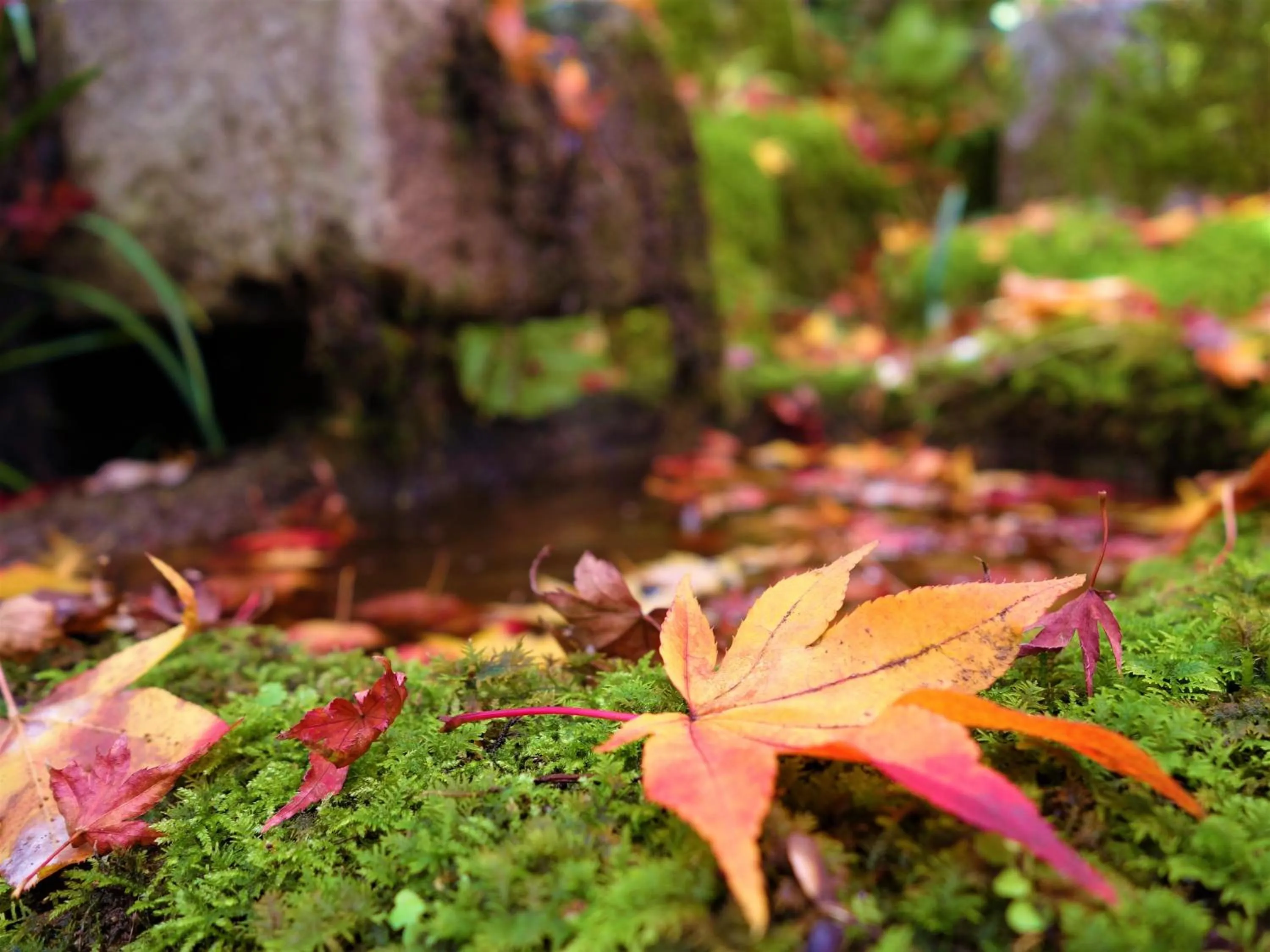 Nearby landmark in APA Hotel Kyoto Eki Horikawadori