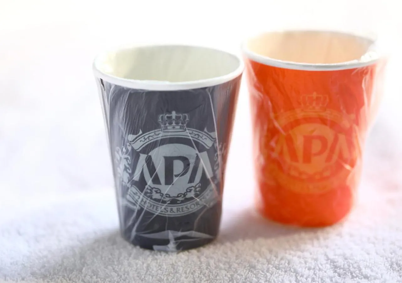 Photo of the whole room in APA Hotel Osaka Temma