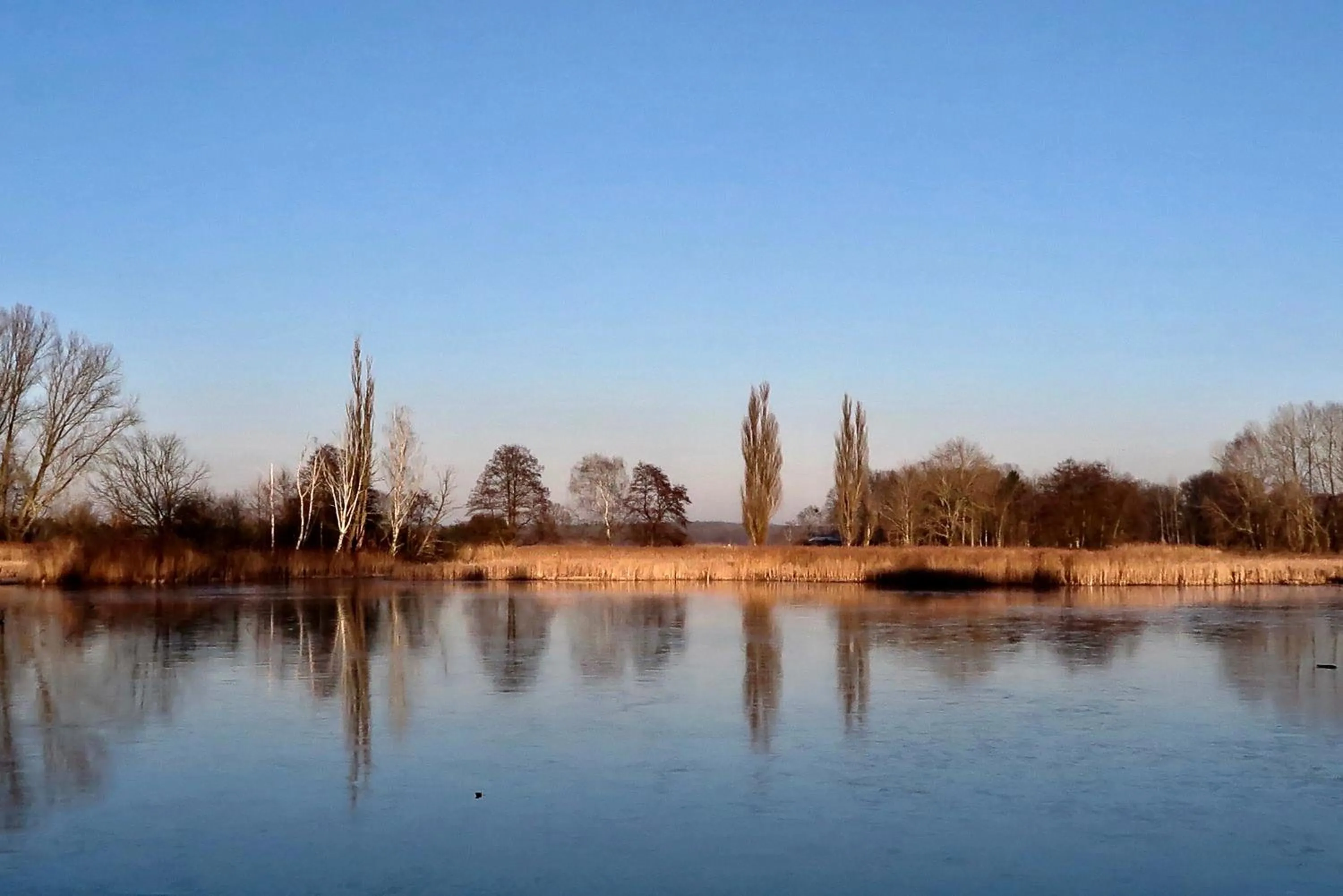 Day in Charlottes Pfarrgarten