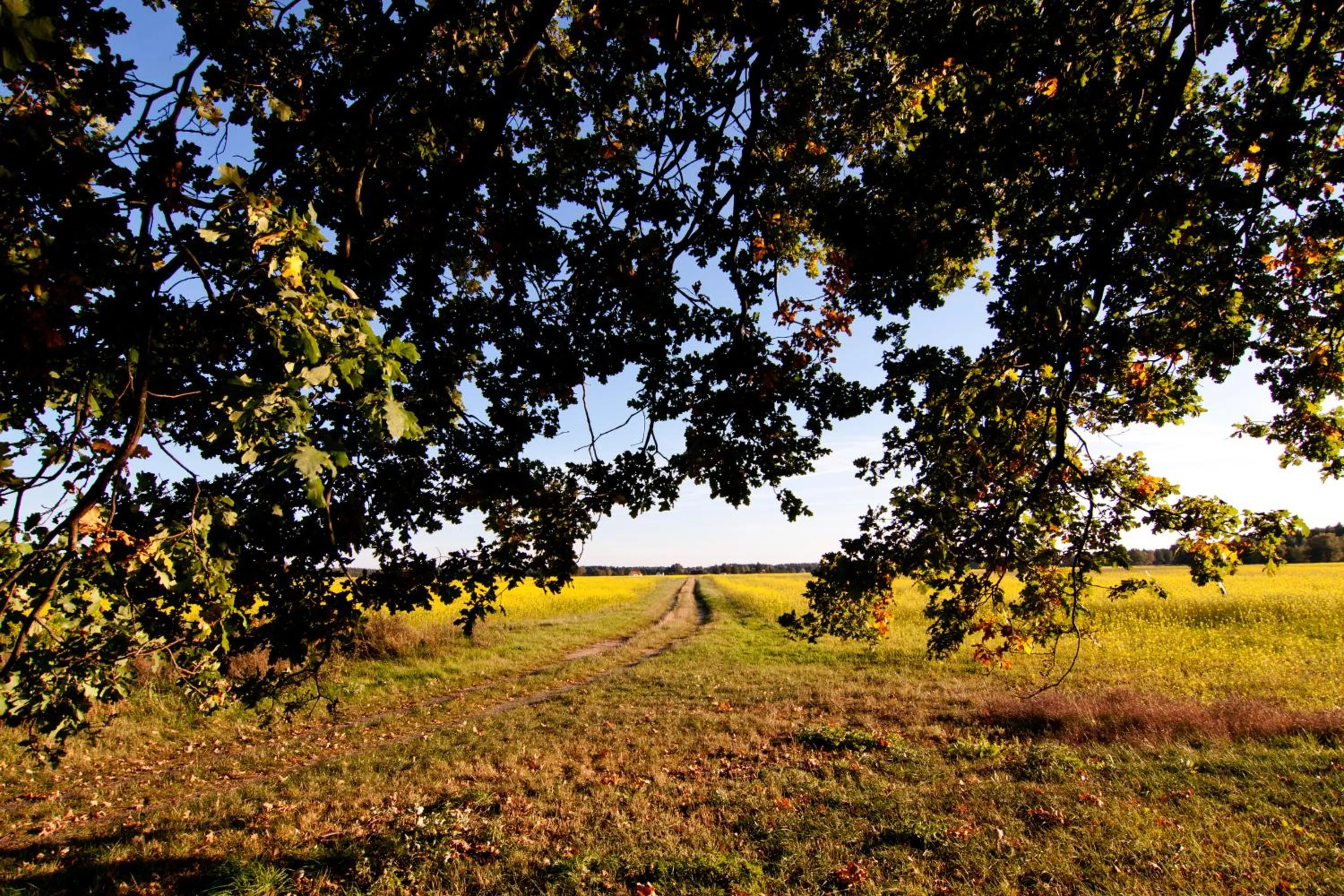 Property building in Charlottes Pfarrgarten