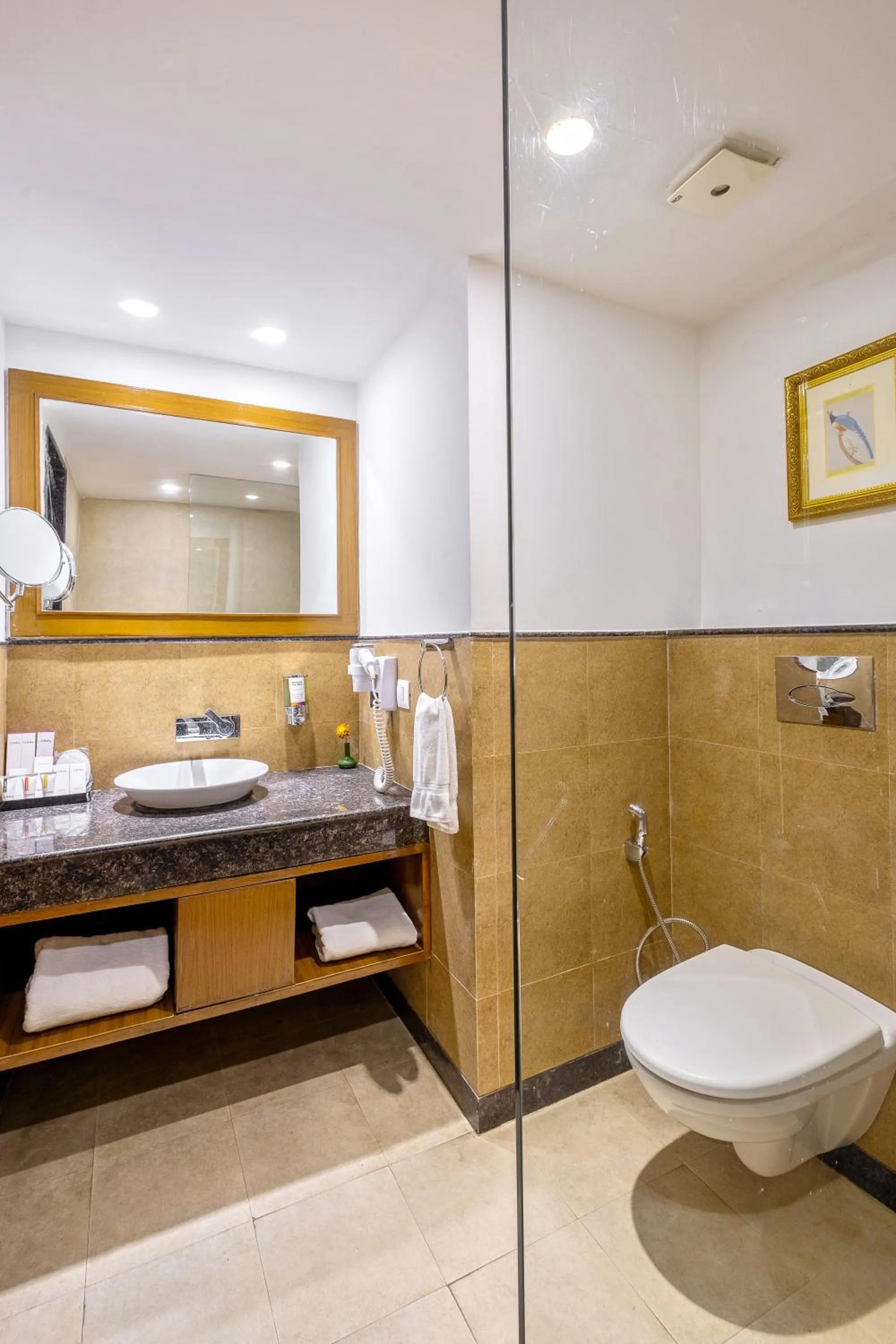 Bathroom in Sterling Manali