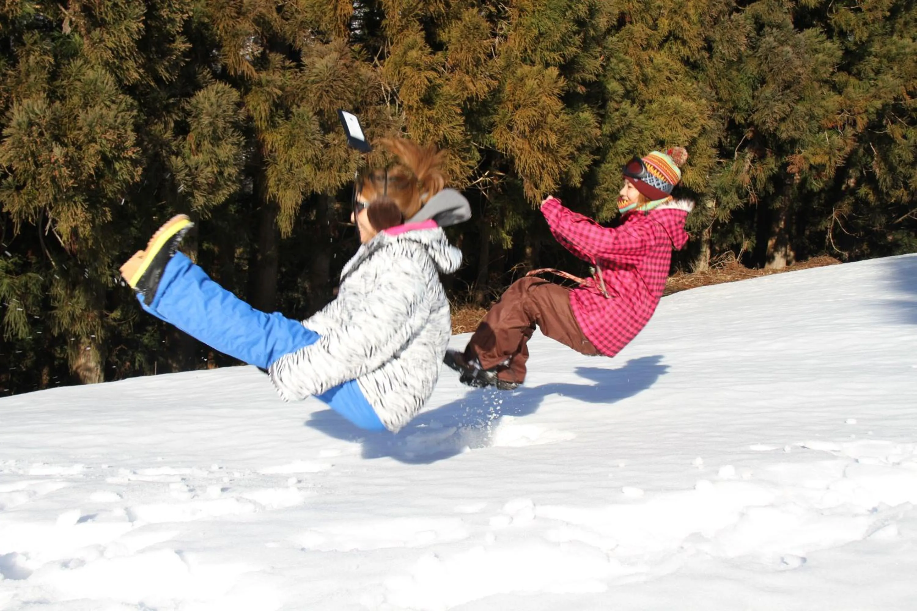 Activities in TOYOTA Shirakawa-Go Eco-Institute