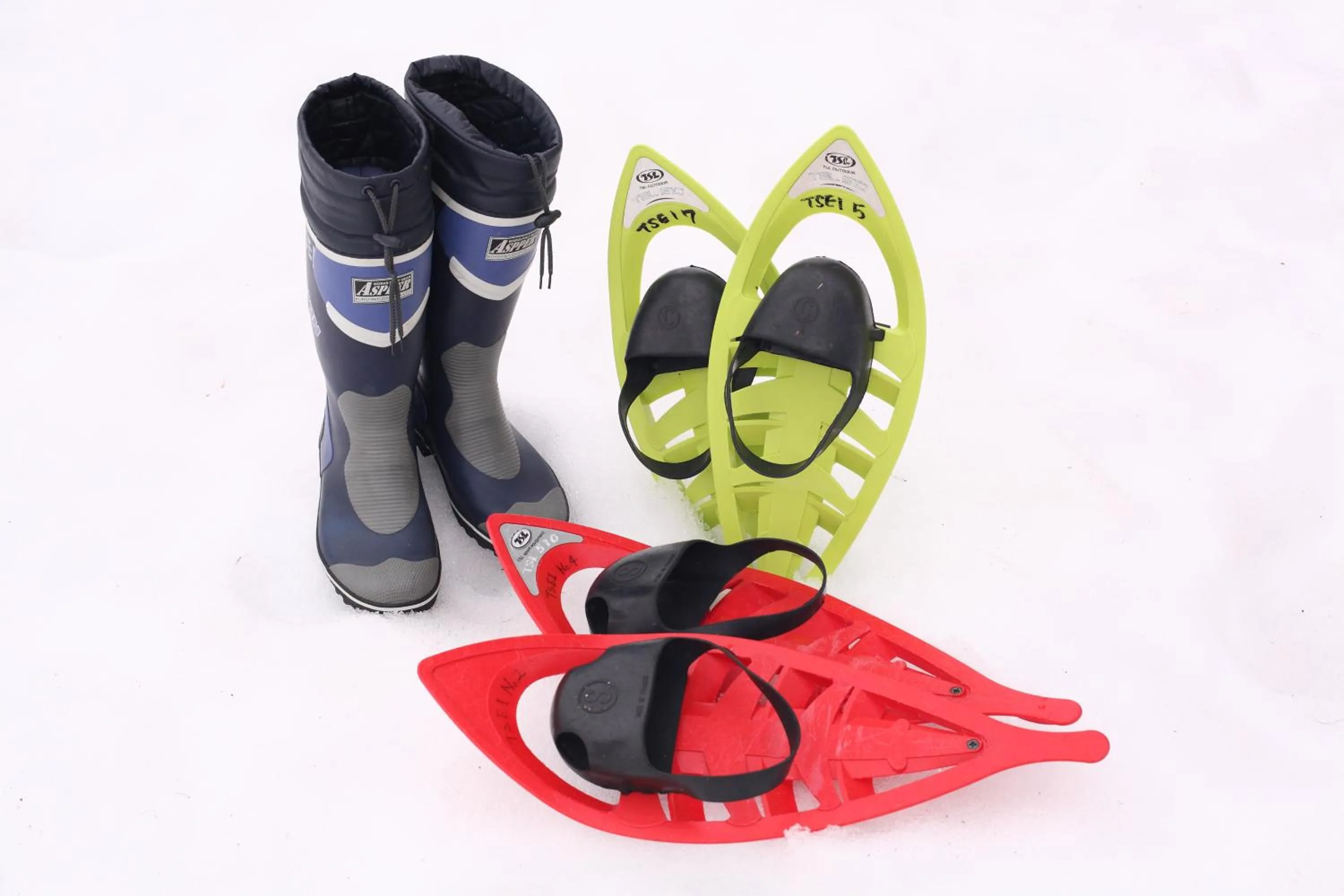 Activities in TOYOTA Shirakawa-Go Eco-Institute