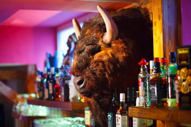 Lounge or bar in Hotel Ochsen