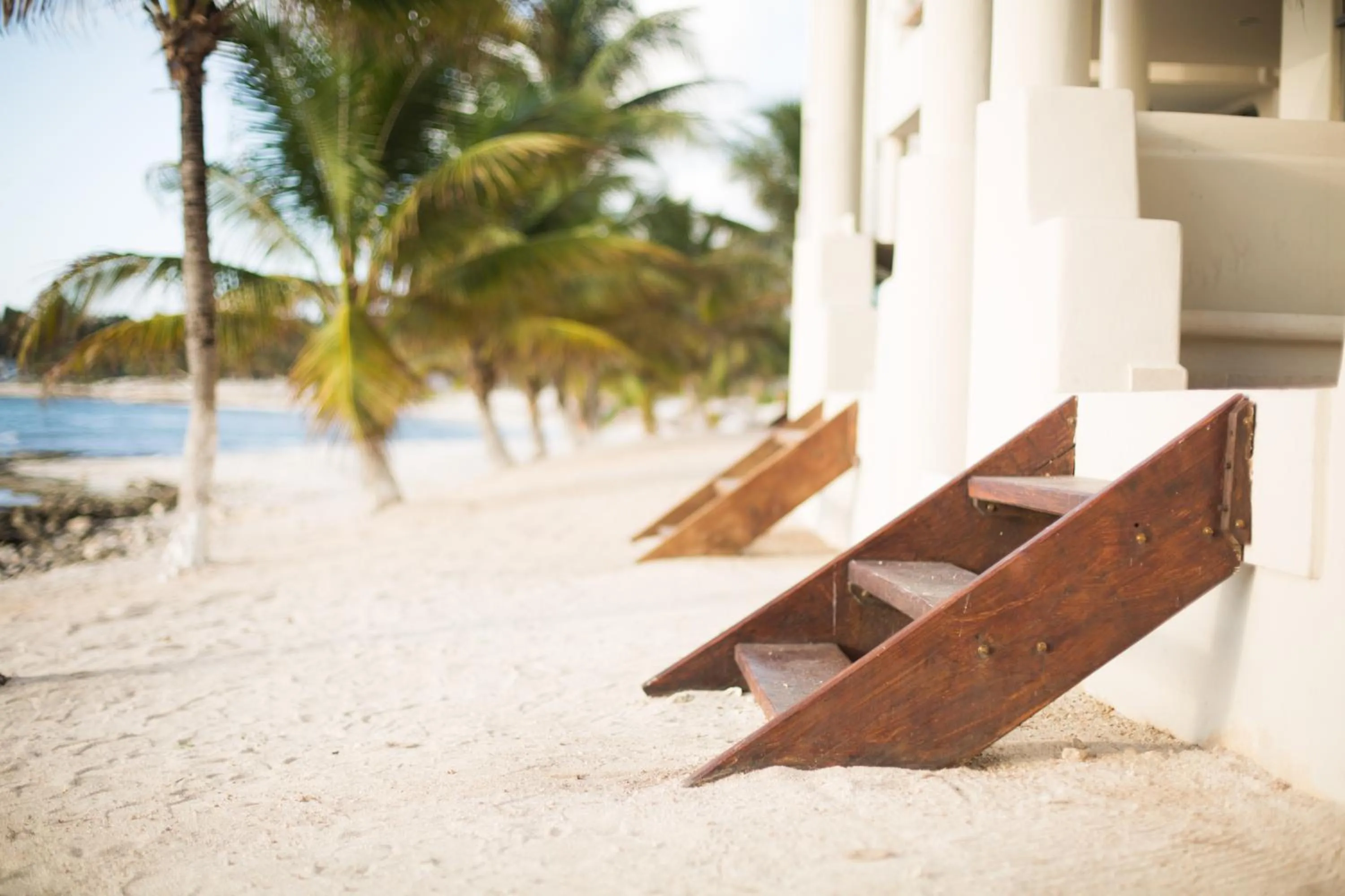 Beach in Paamul Hotel