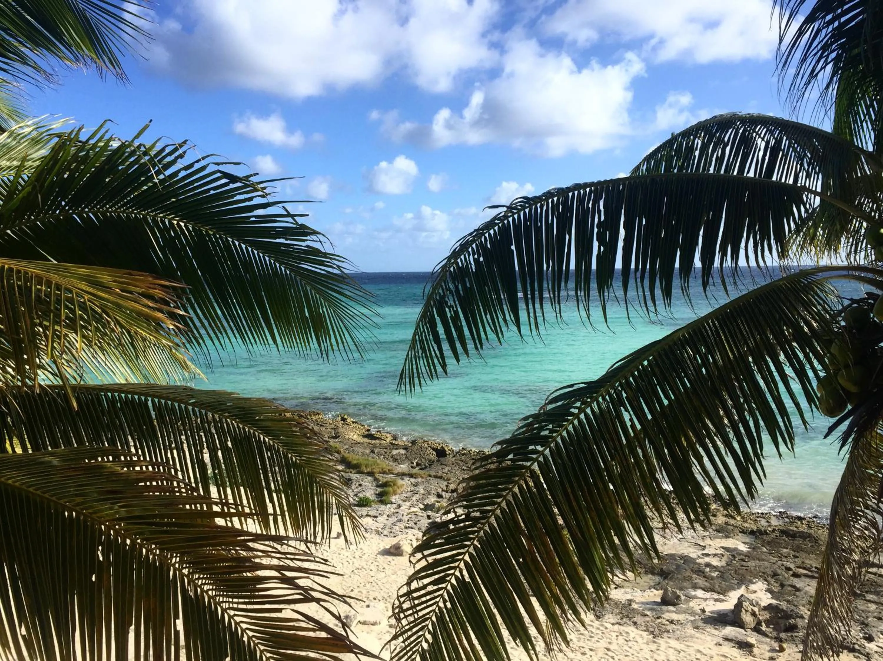 Beach in Paamul Hotel